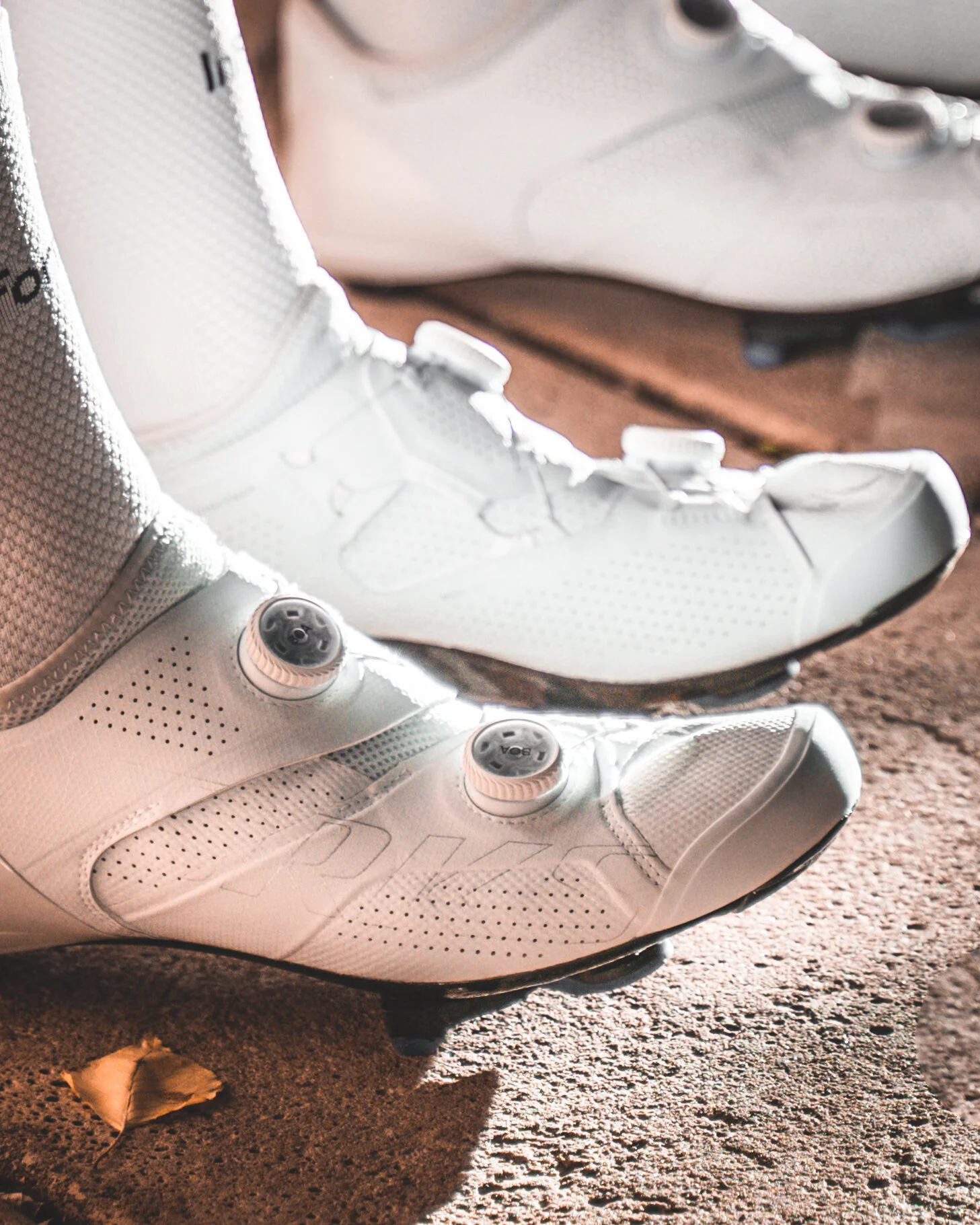 untitled shoot-03819.jpg