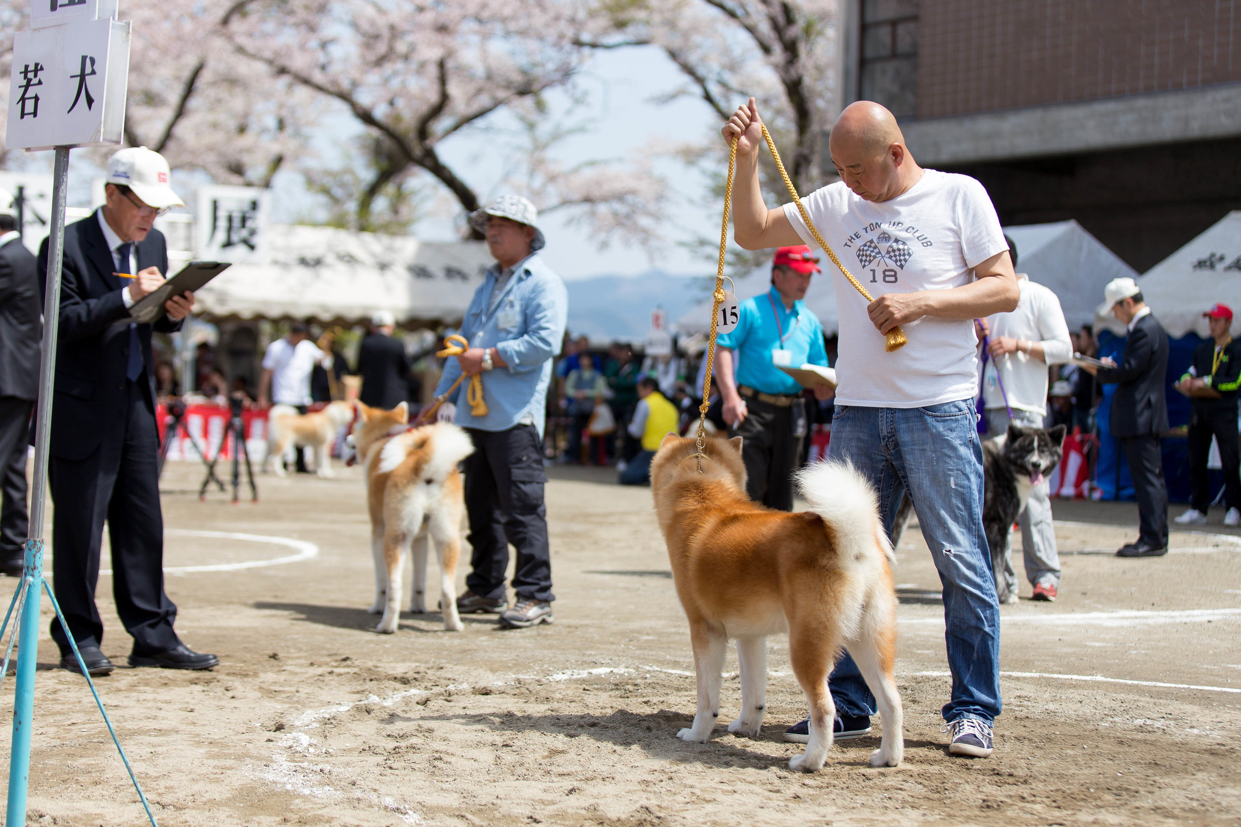 copyright_Petervander Lugt