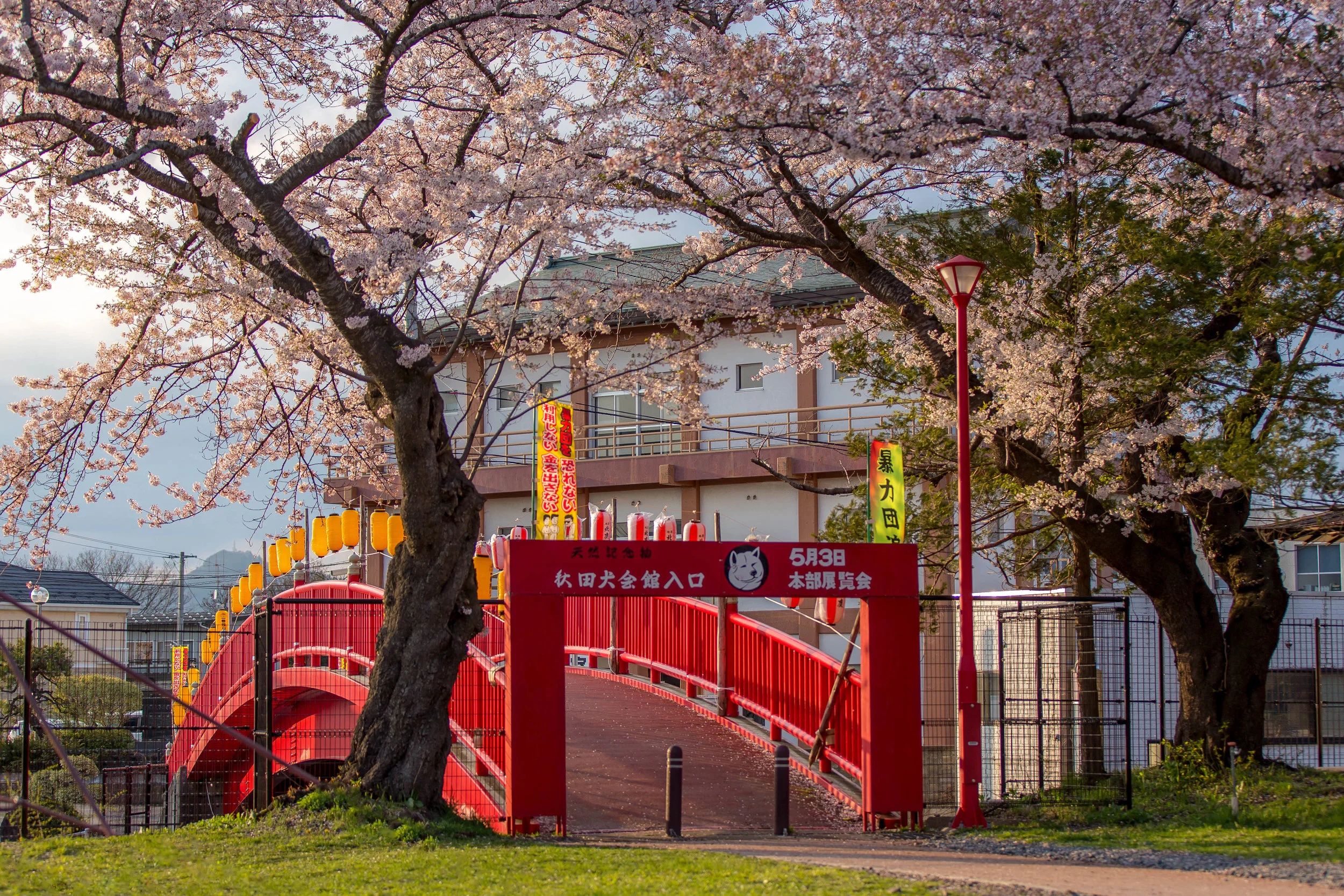 copyright_Petervander Lugt