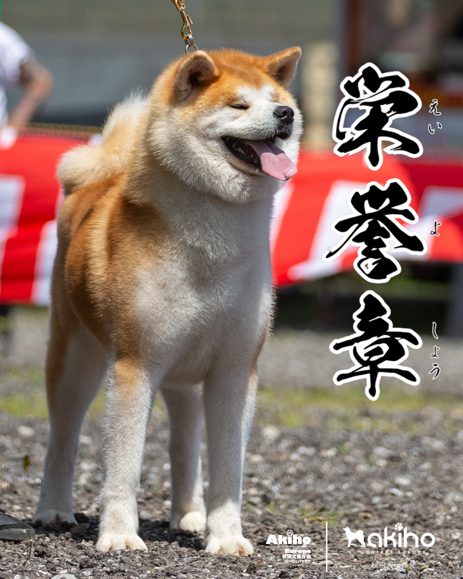 Wakahiryuu - AKIHO Eiyoshou