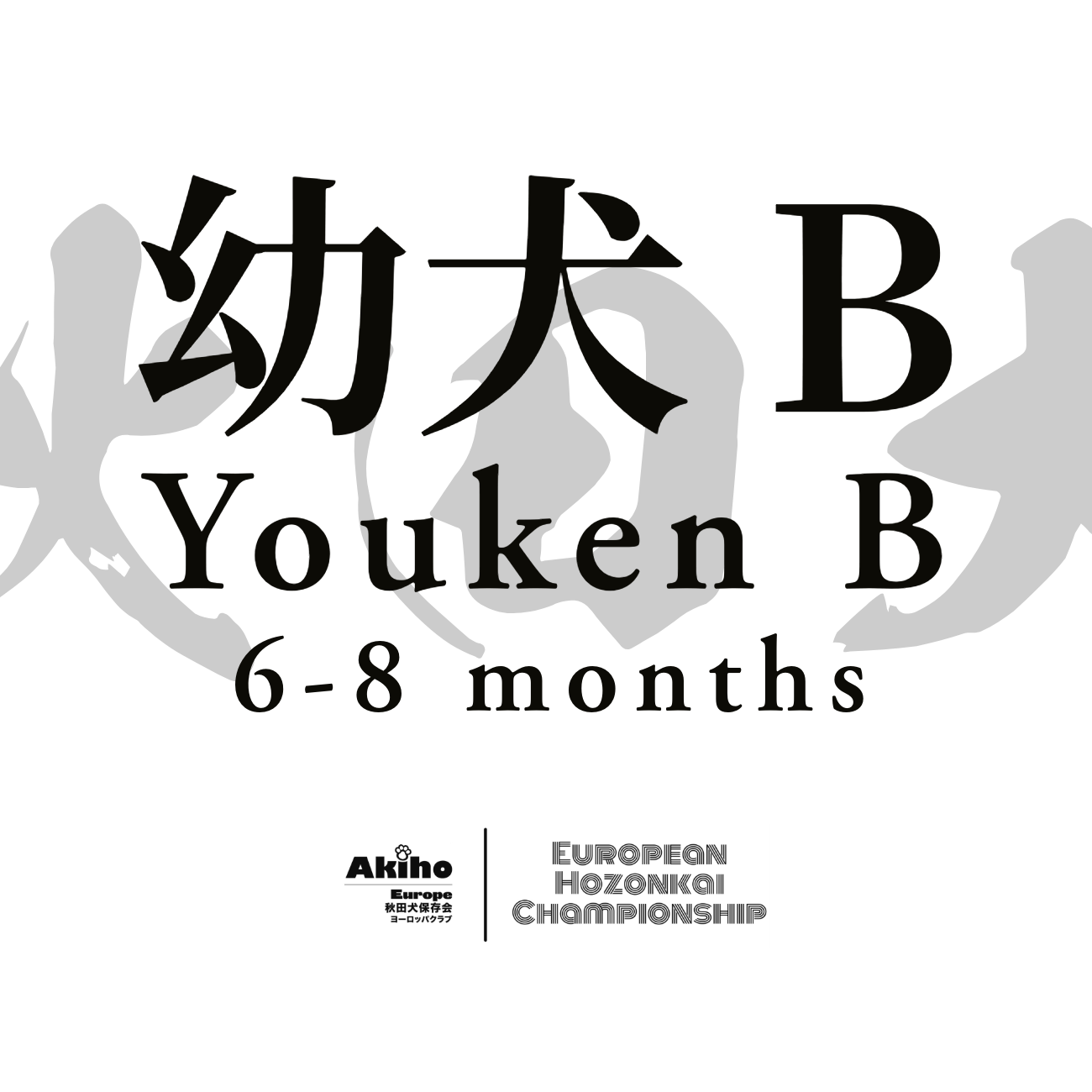 YOUKEN B