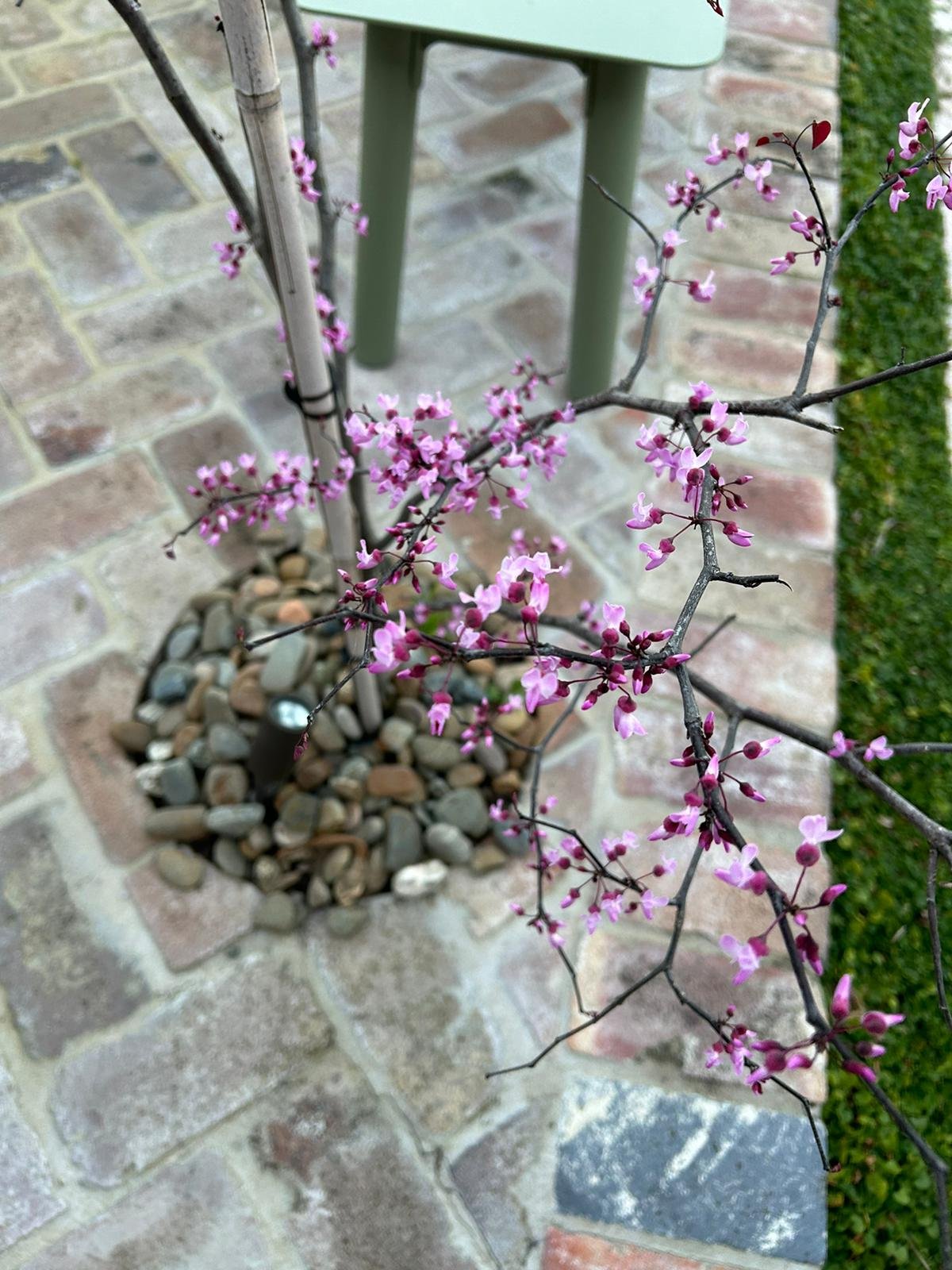 WUNI6252.JPG