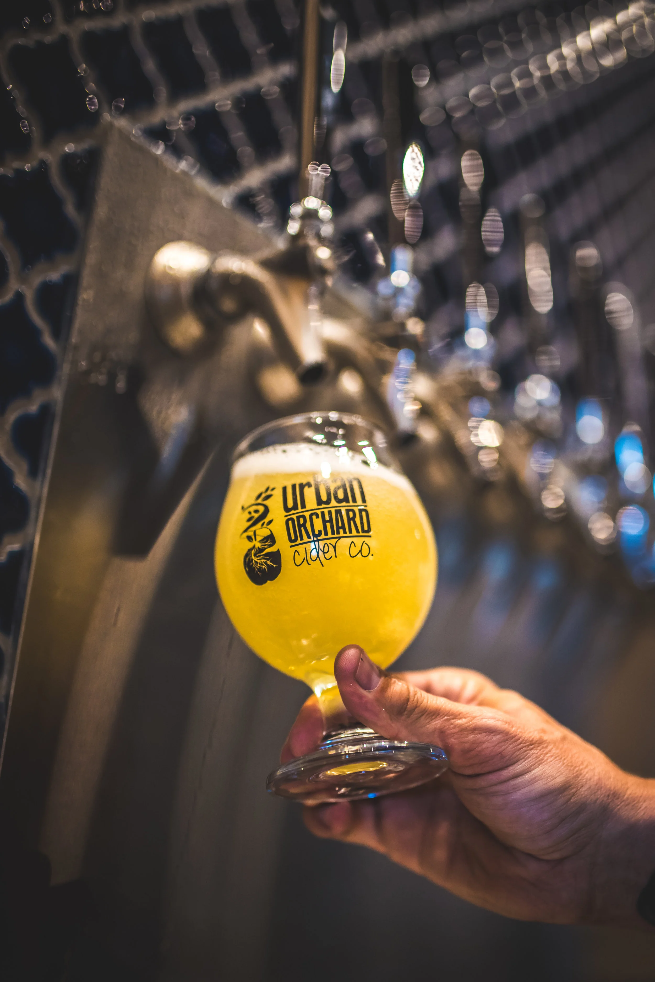 Urban Orchard Stephan Pruitt Photography Dig Local Asheville No Watermark-8.jpg