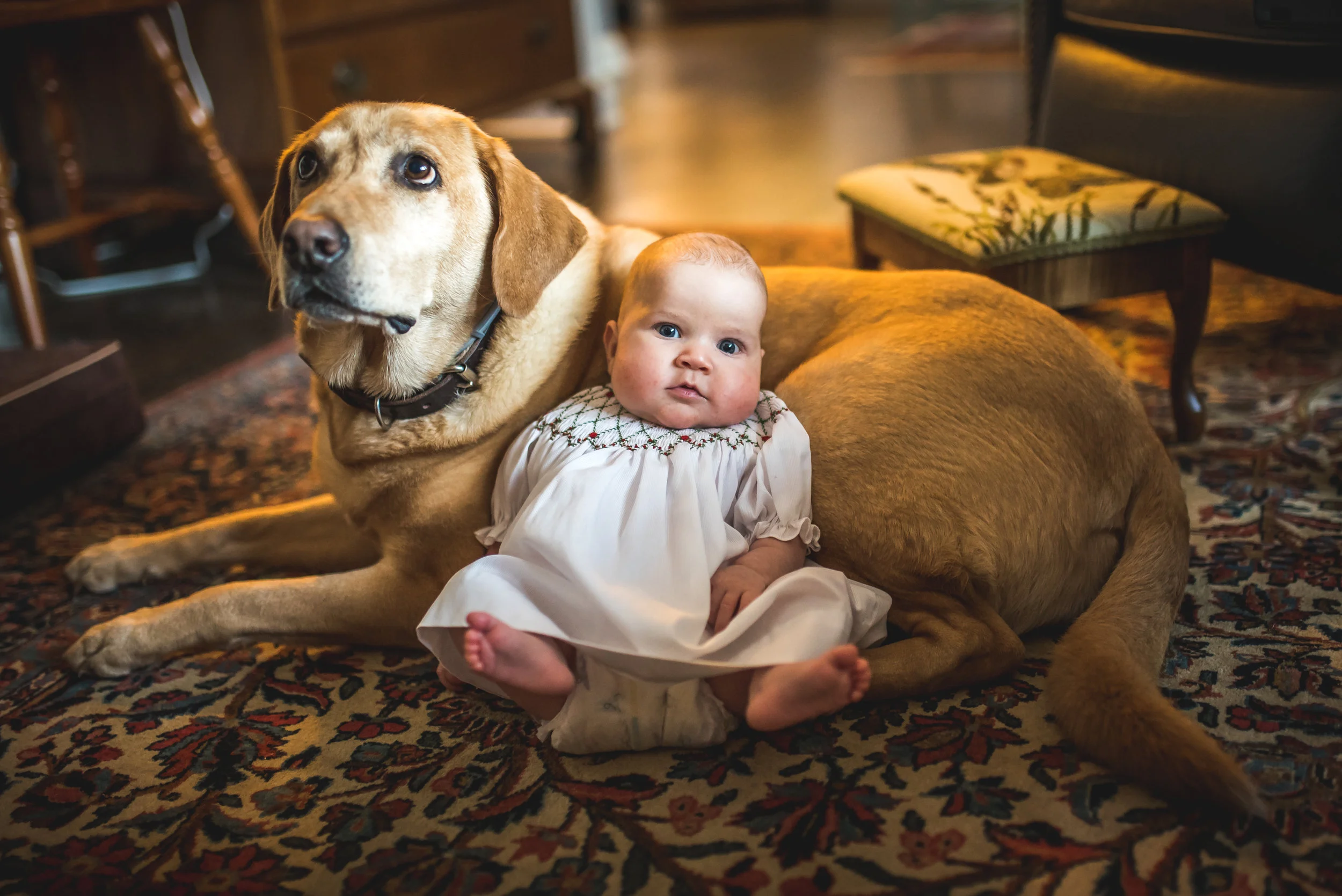 Stephan Pruitt Photography Perry Family Photoshoot Asheville-17.jpg