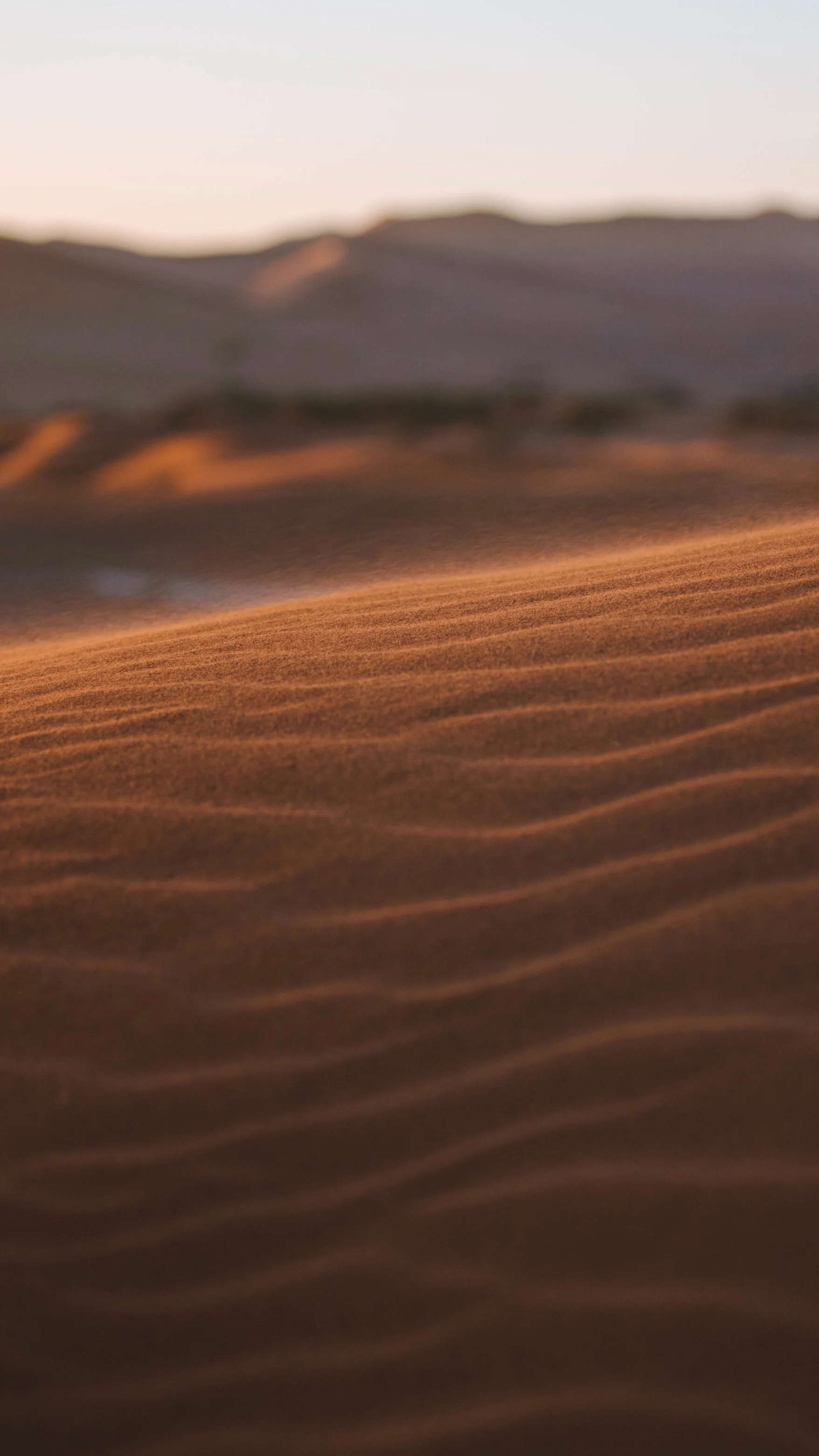 Sand Ripple