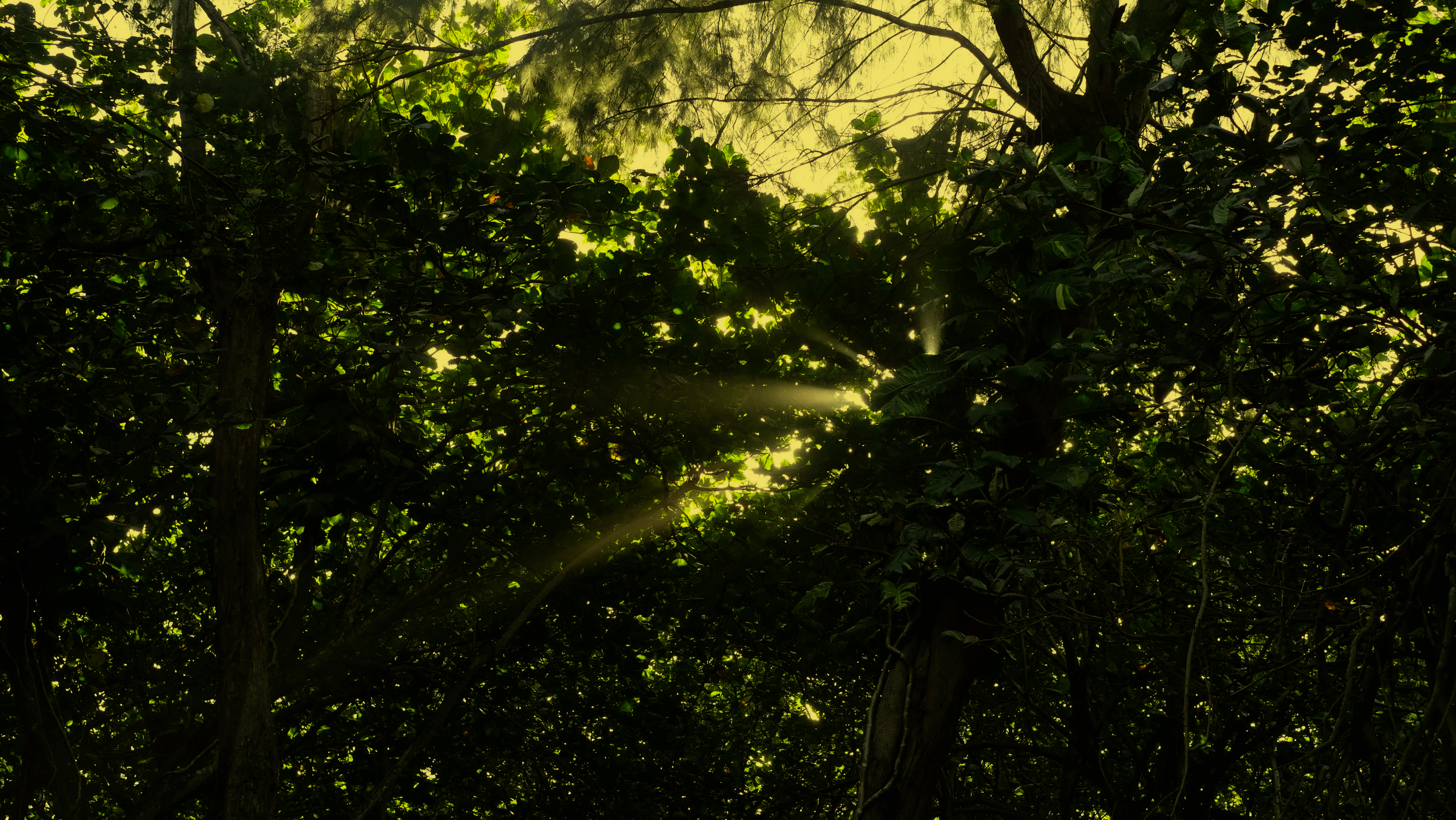 DSCF2832aaa.png