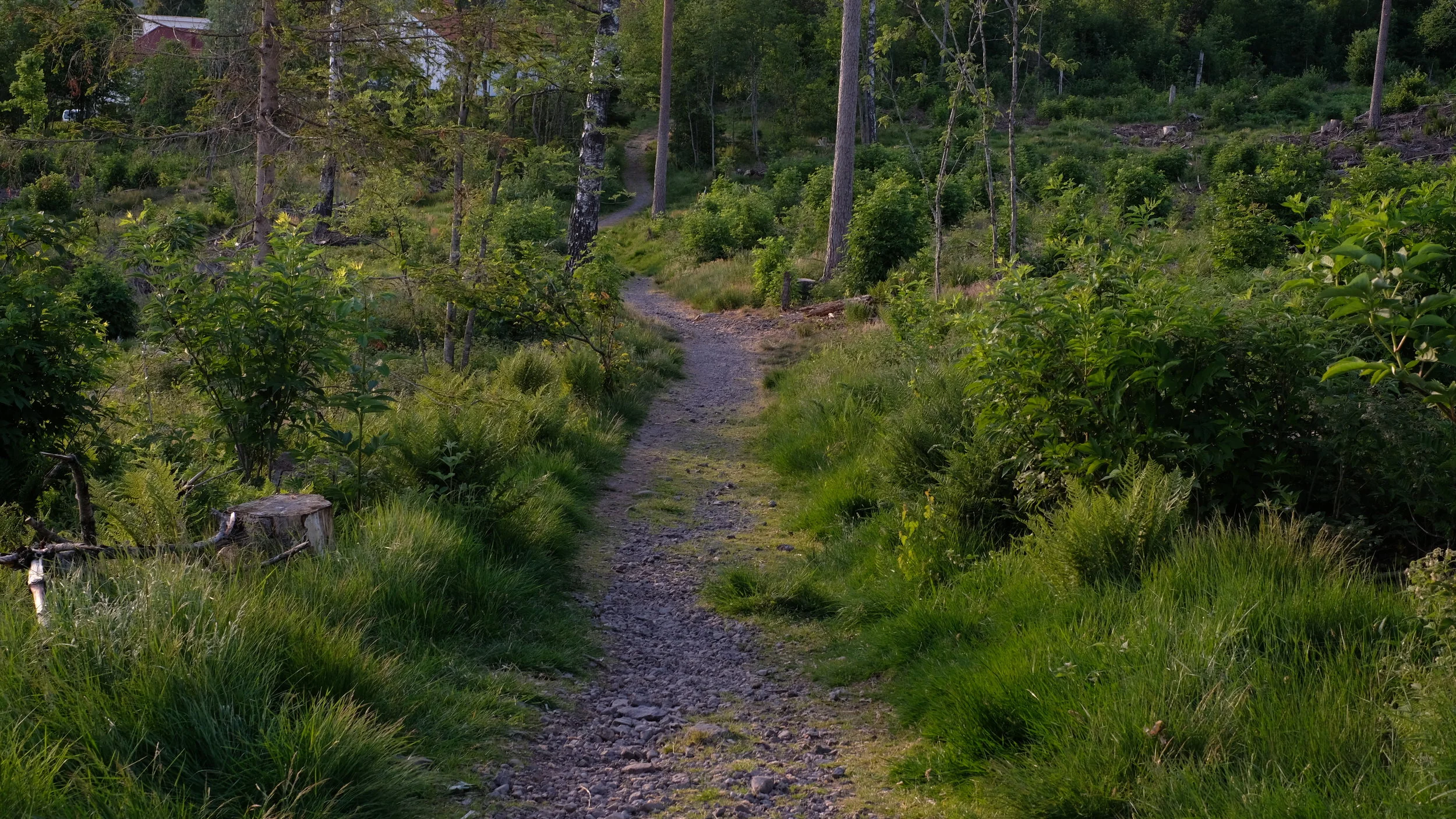 DSCF5608.JPG