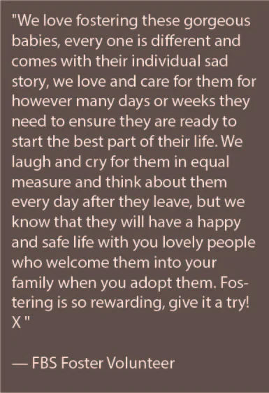 quote adopt.jpg