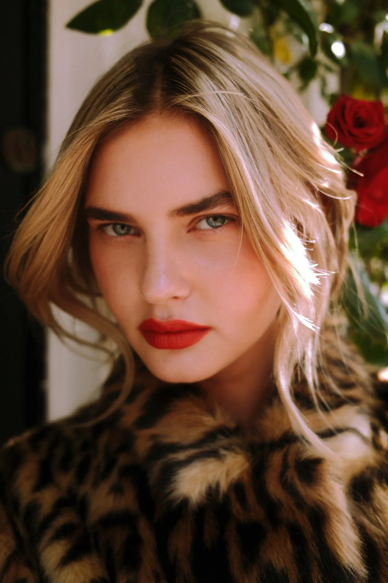 The Perfect Alibi_RF (18).jpg