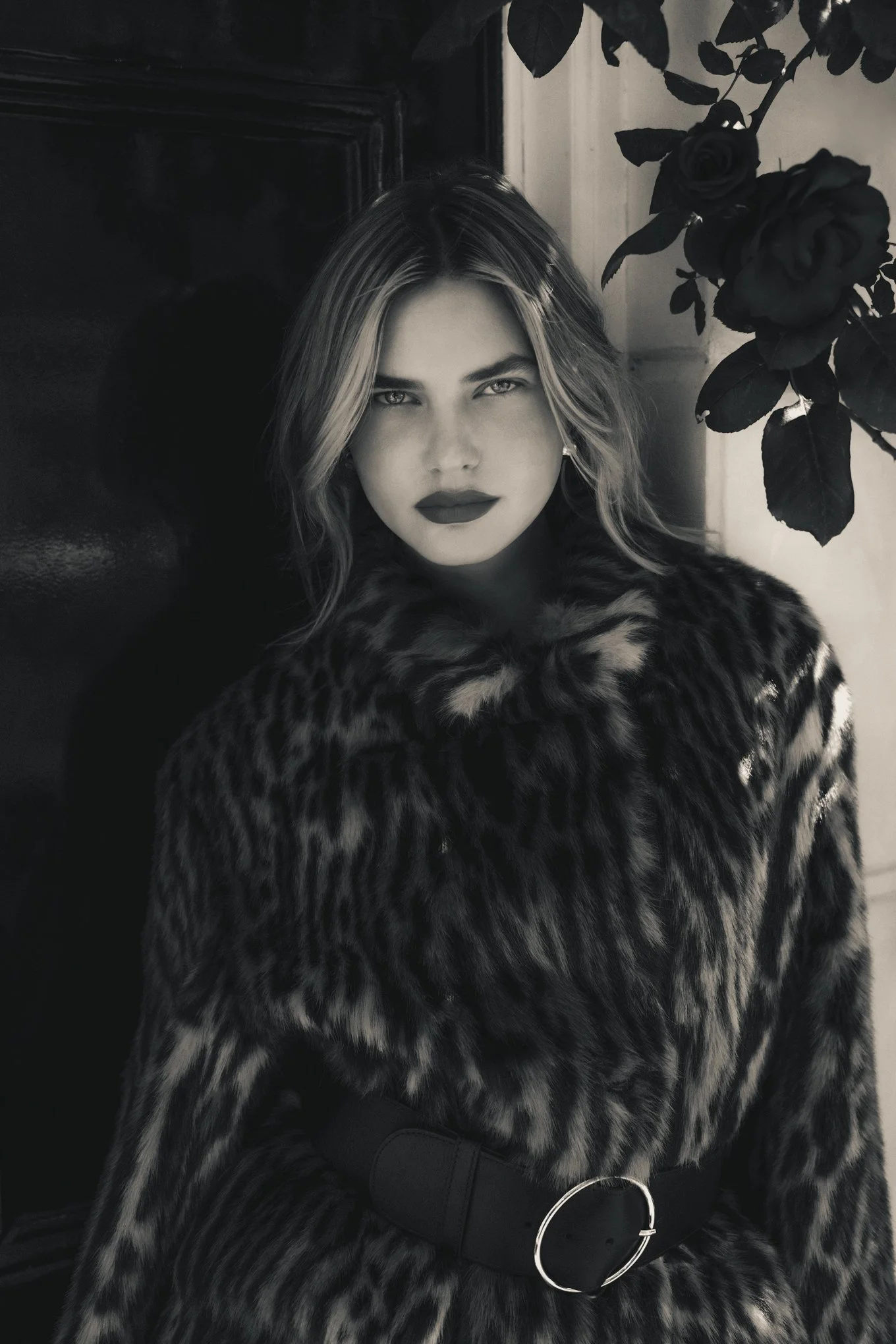 The Perfect Alibi_RF (15).jpg