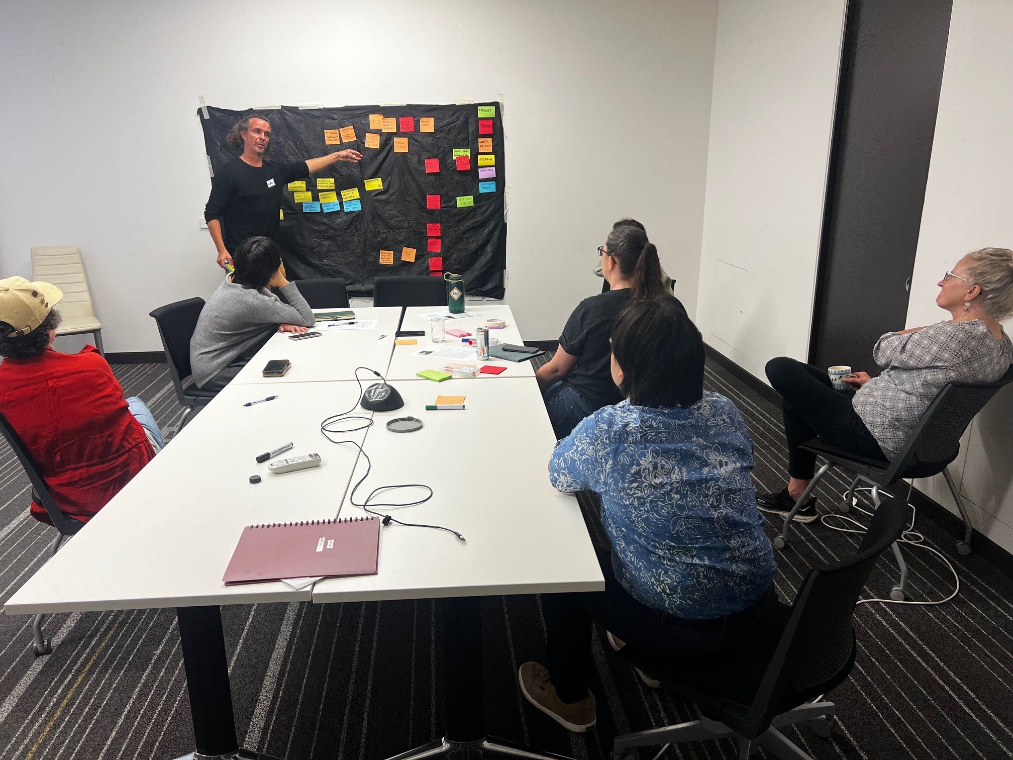 Conservation Standards Workshop ICCB 2025