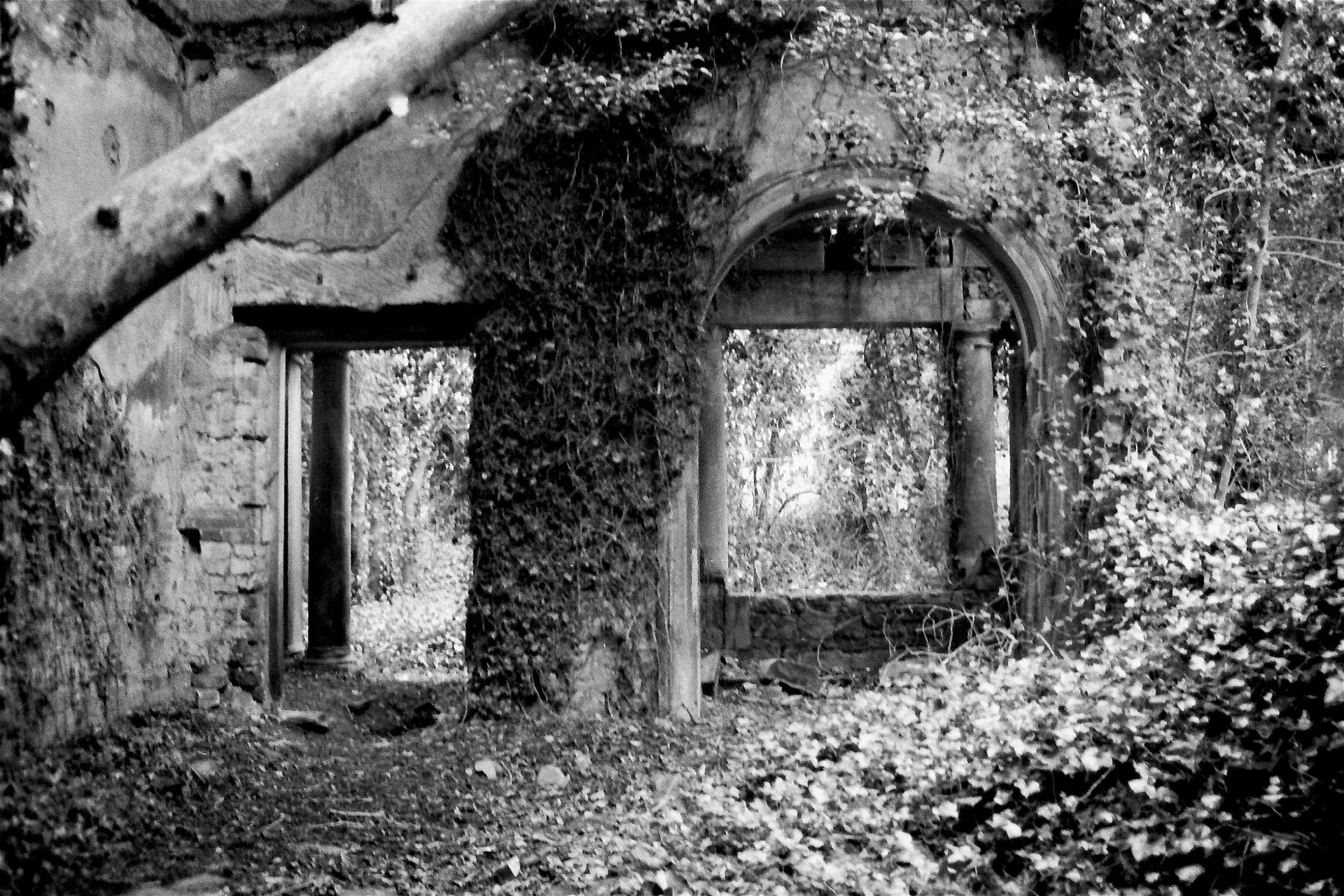 Ruin 5.jpg