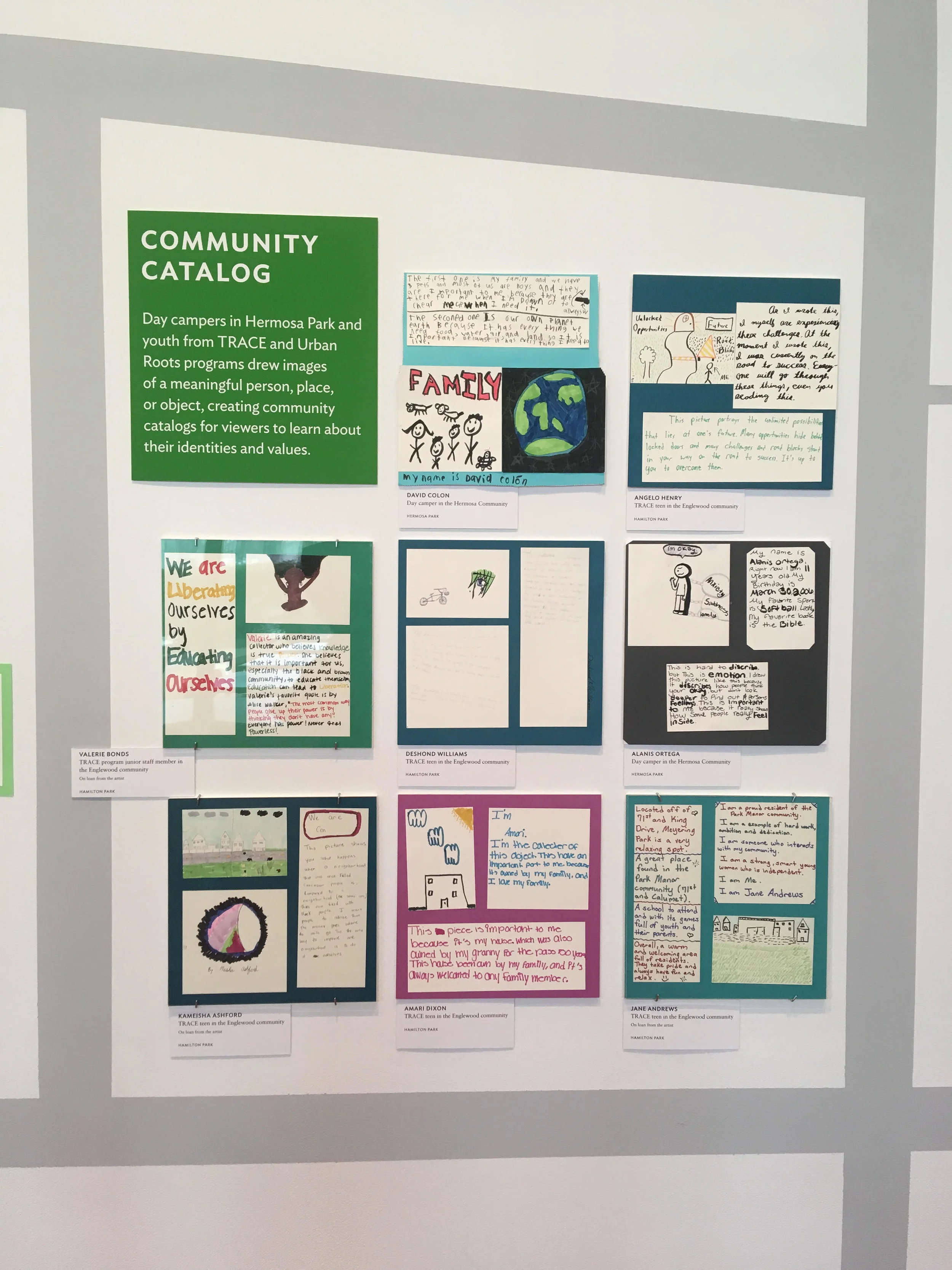 Collective Knowing Photo 1.jpg