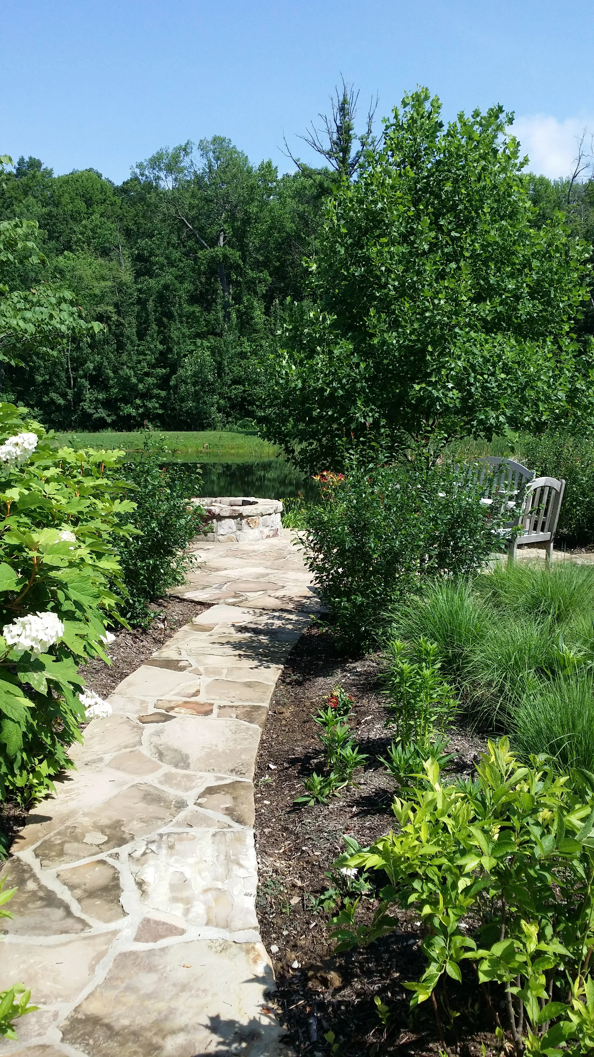 2014-06-25 11.22.29.jpg