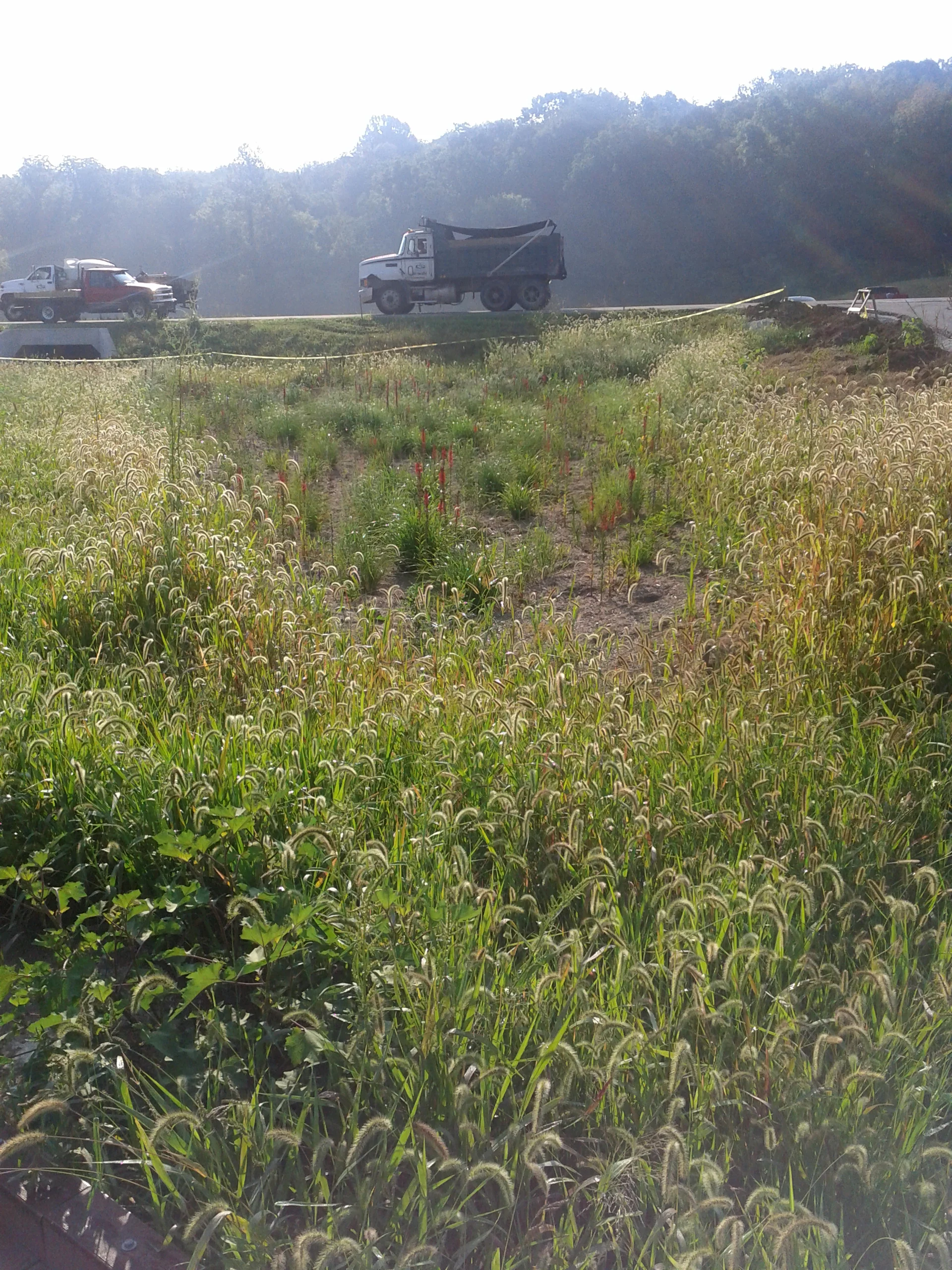 2013-08-20 09.12.04.jpg