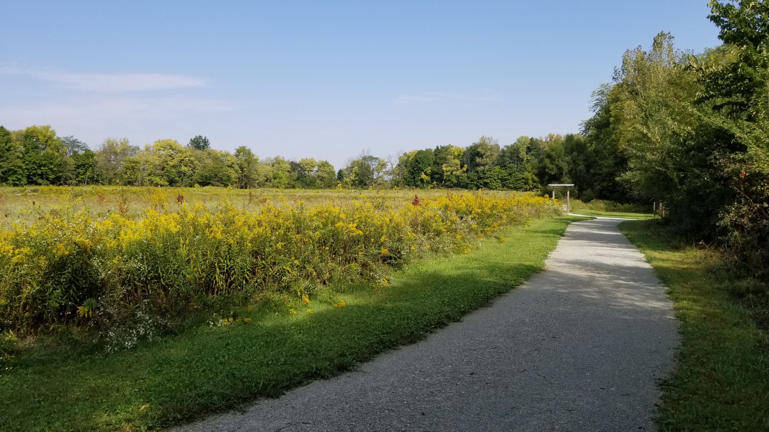 2018-09-19 11.25.58.jpg