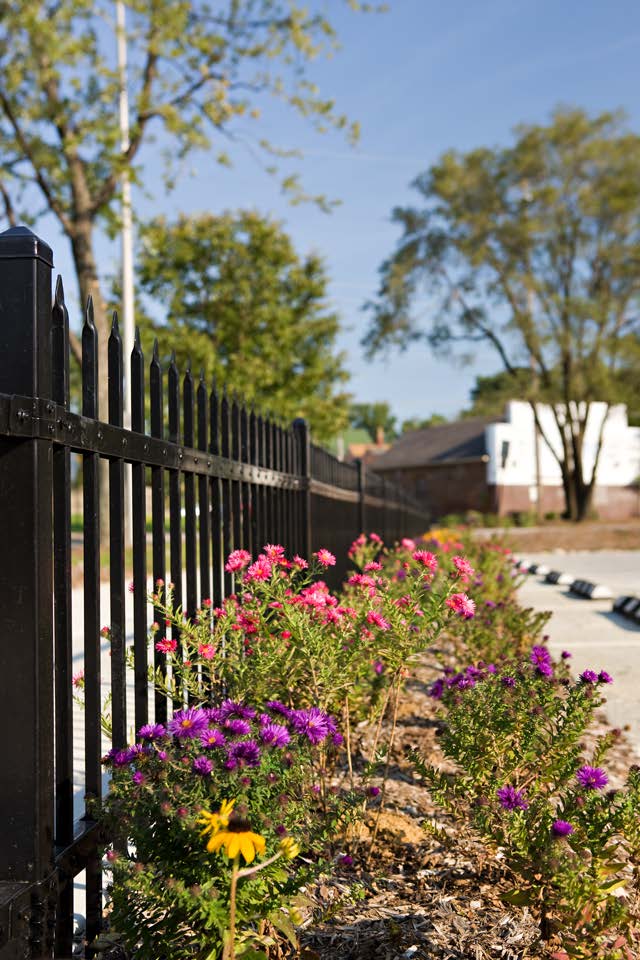 KIB_Fleck_Photo_01 fence.jpg