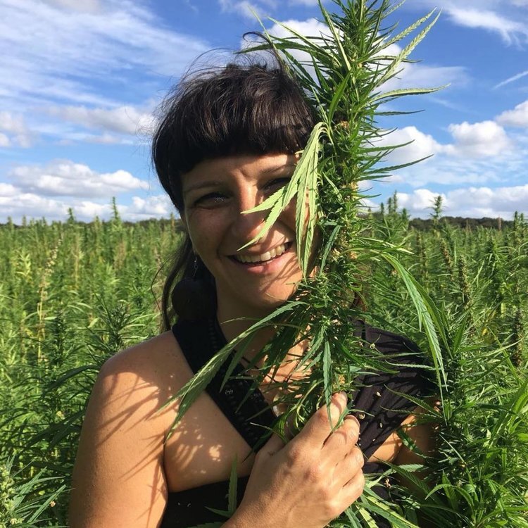 CANNABIS VOICES: Why hemp must be part of the UK's green plan