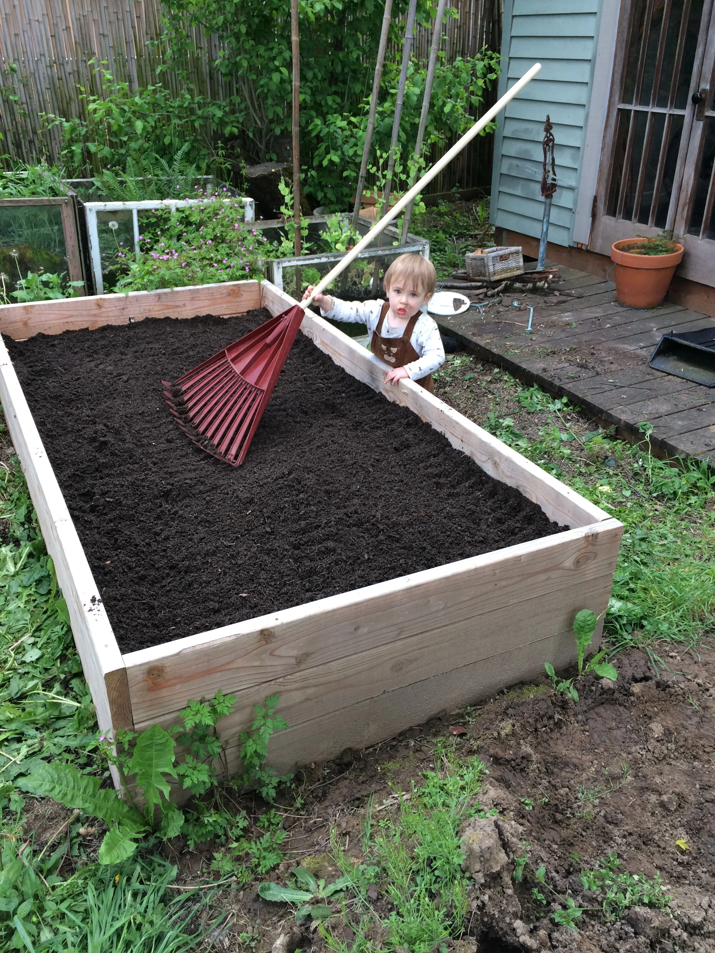 Ayurveda, Finding Balance, and New Practices