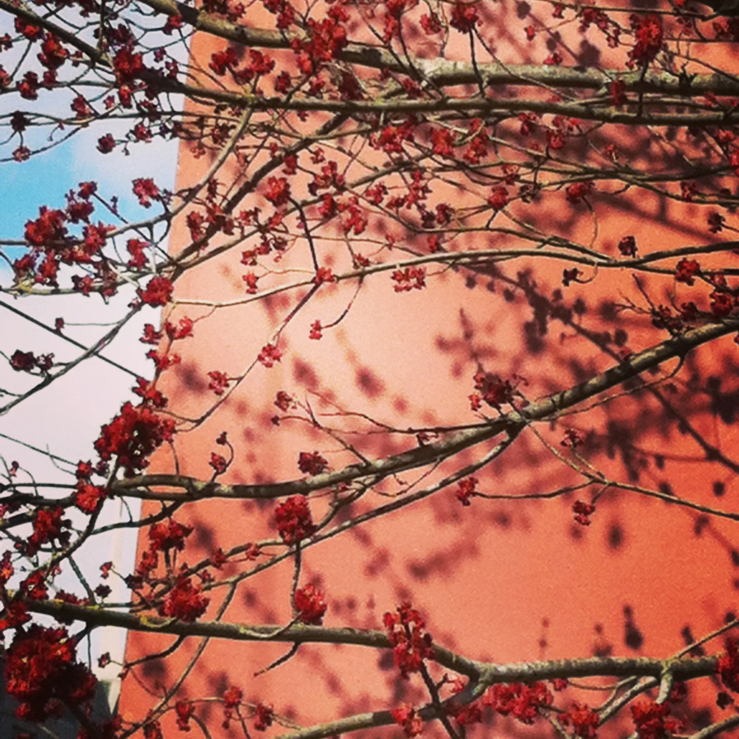 DIY Facial Moisturizer Recipe for Fall