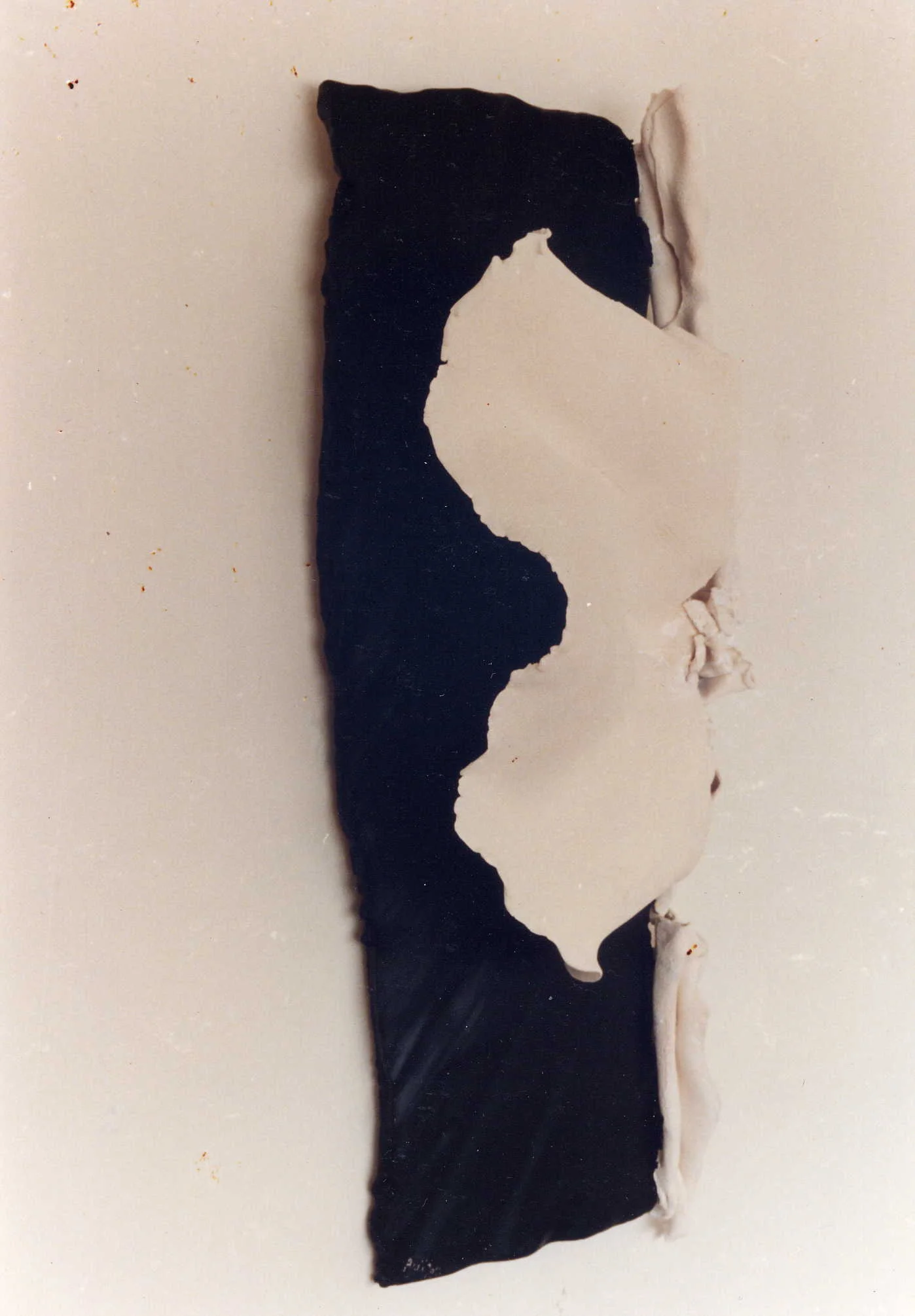 05-Fragile Nature.jpg
