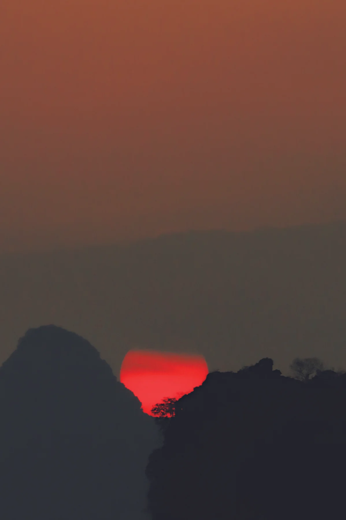 Max Fujishima's "Wish You Aere Here"