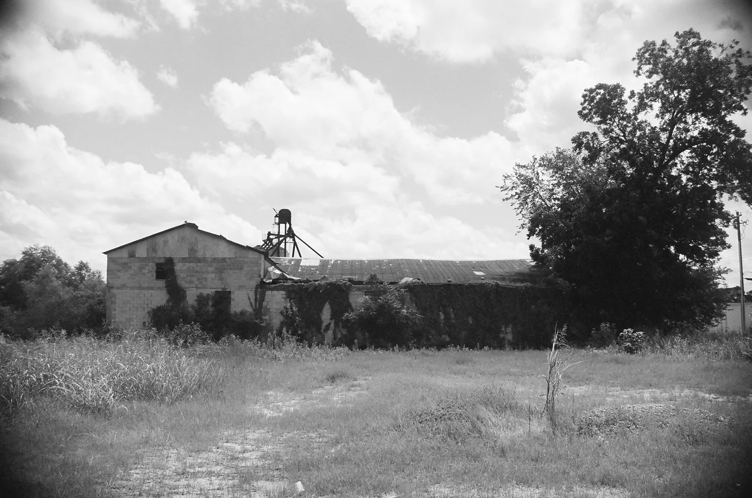 bw8.jpg