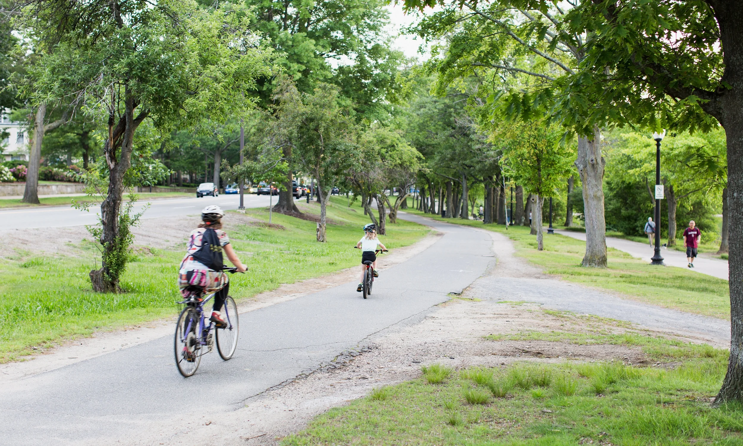 20180608_JamaicaPlain_5.jpg