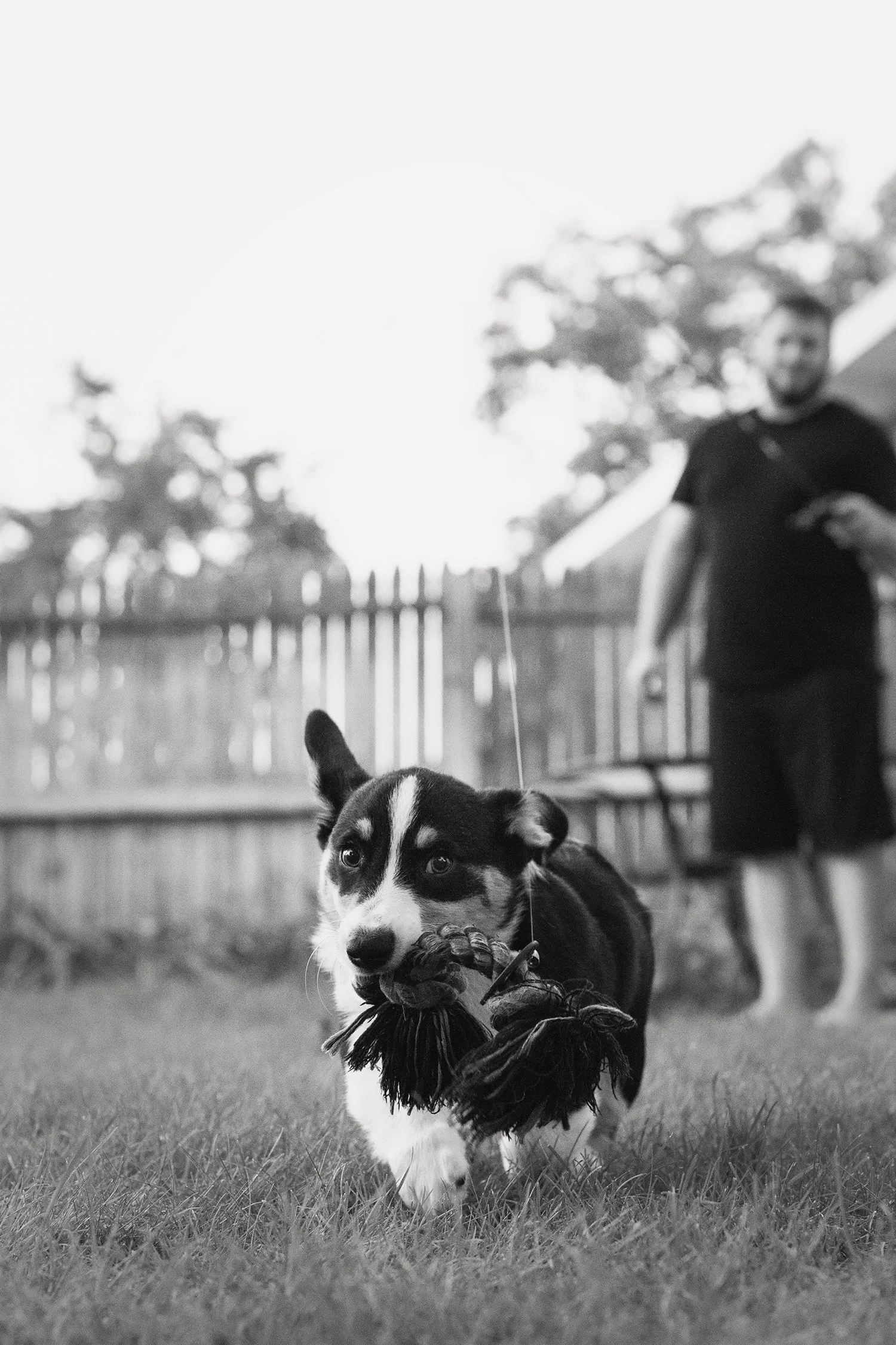 Fishin' for Dogfish, 15 weeks old