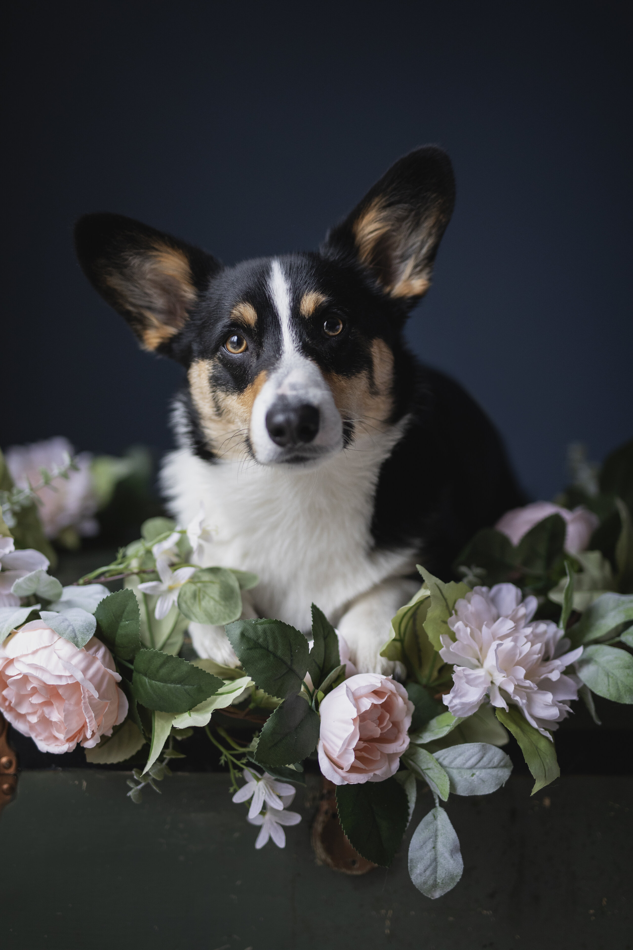 In Memory of Dorothy - Another FREE Giveaway