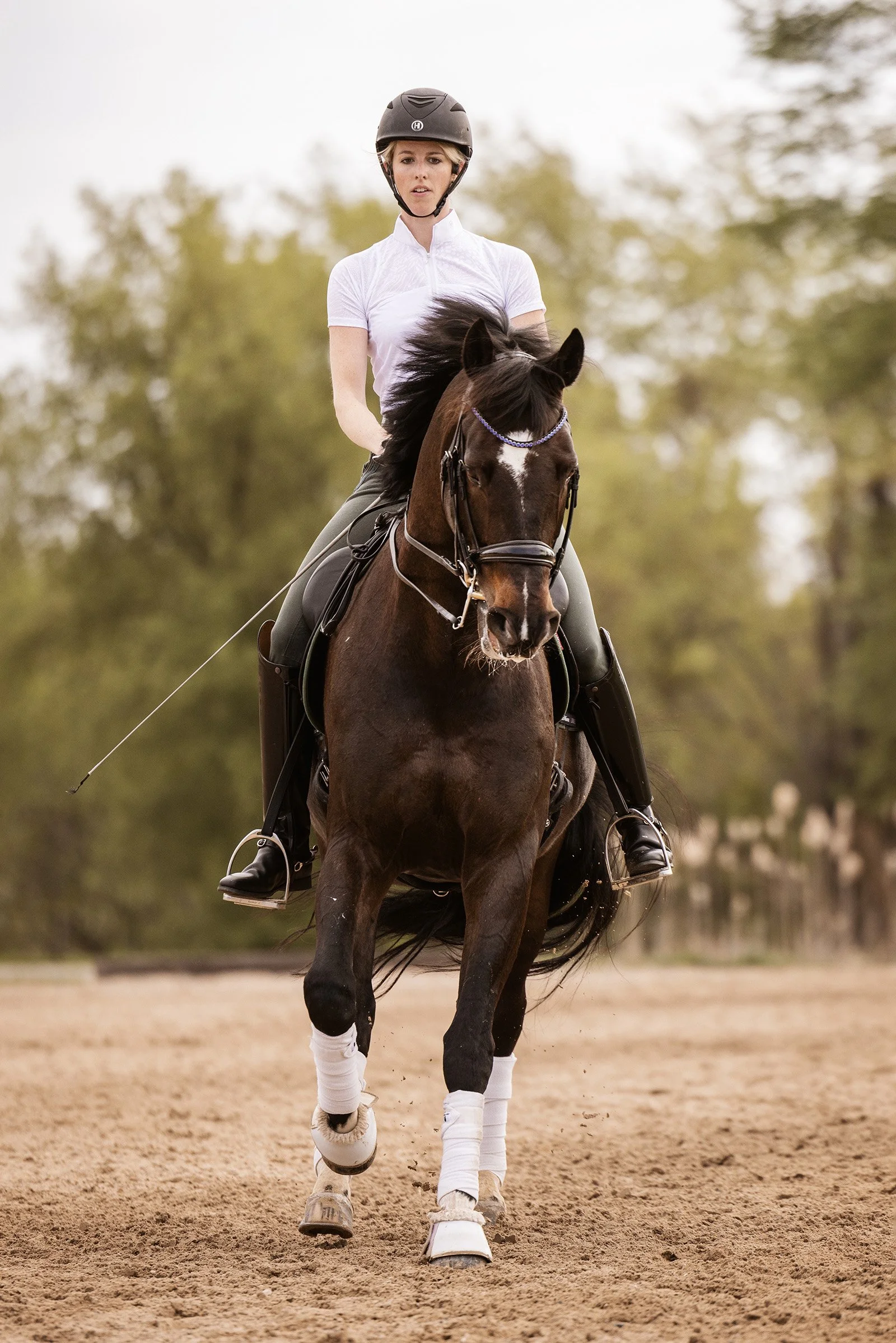 All Dressage Association Clinic