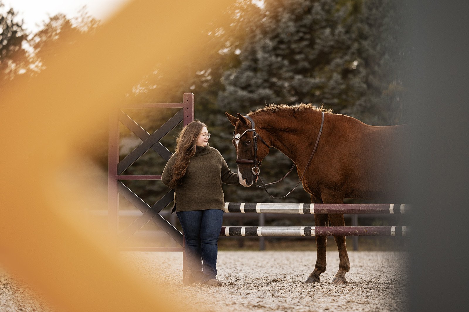 Michigan Equine Photographer - Horse & Rider - Dressage - Hunter Jumper - Western Pleasure - Hunter under Saddle - Saddle Seat - Horse Photography -01.jpg