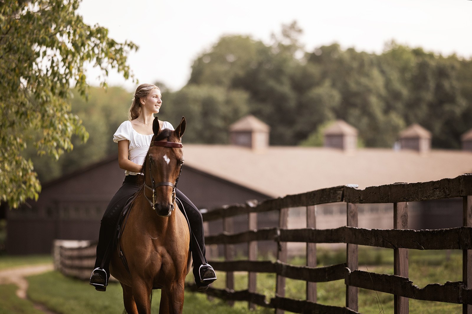 Michigan Equine Photographer - Horse & Rider - Dressage - Hunter Jumper - Western Pleasure - Hunter under Saddle - Saddle Seat - Horse Photography -04.jpg
