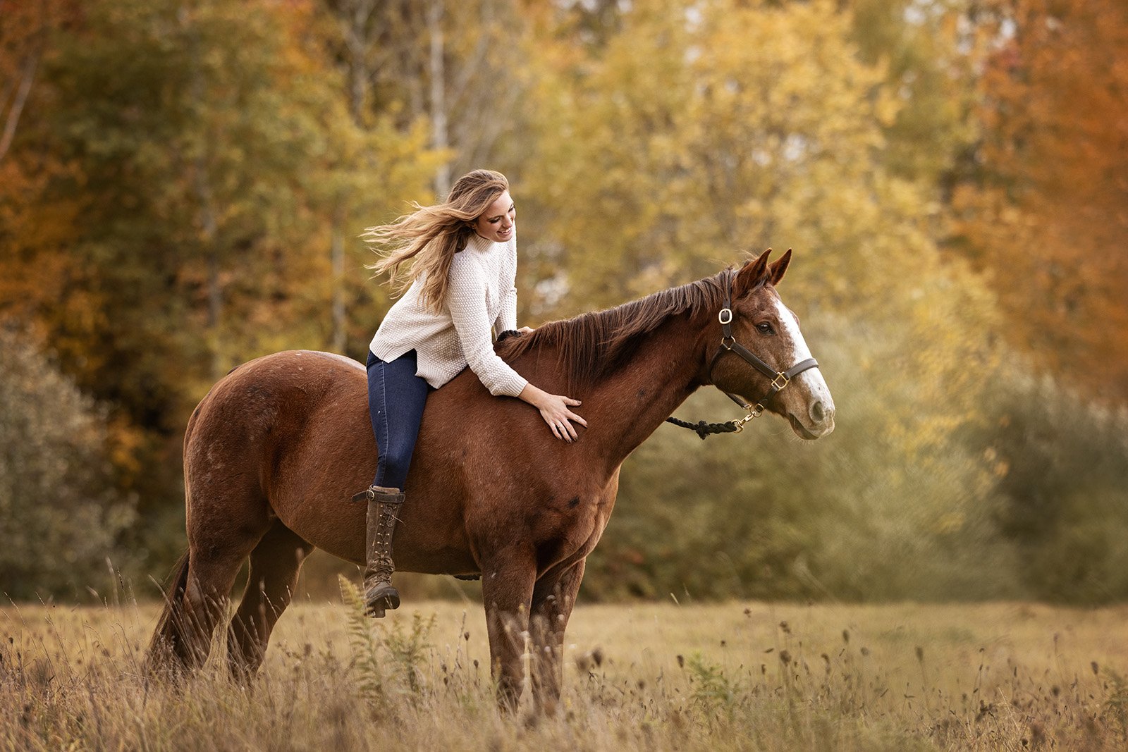 Michigan Equine Photographer - Horse & Rider - Dressage - Hunter Jumper - Western Pleasure - Hunter under Saddle - Saddle Seat - Horse Photography -08.jpg