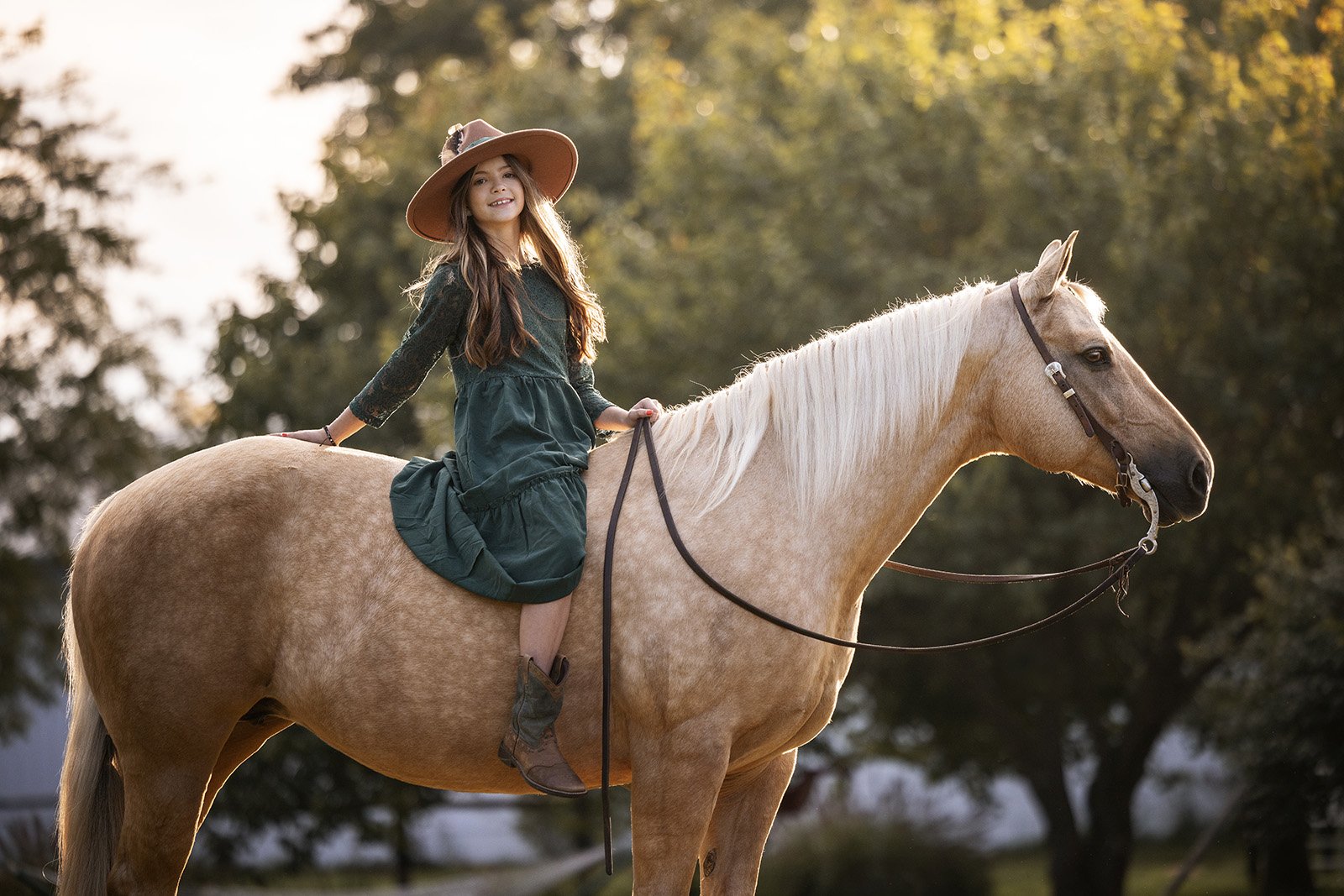 Michigan Equine Photographer - Horse & Rider - Dressage - Hunter Jumper - Western Pleasure - Hunter under Saddle - Saddle Seat - Horse Photography -11.jpg