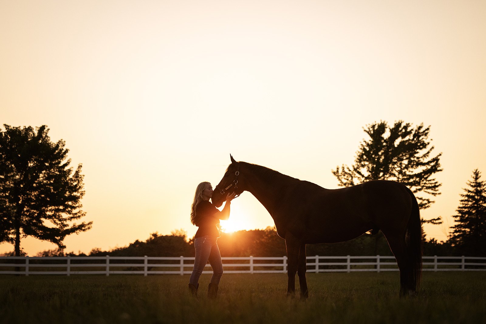 Michigan Equine Photographer - Horse & Rider - Dressage - Hunter Jumper - Western Pleasure - Hunter under Saddle - Saddle Seat - Horse Photography -13.jpg