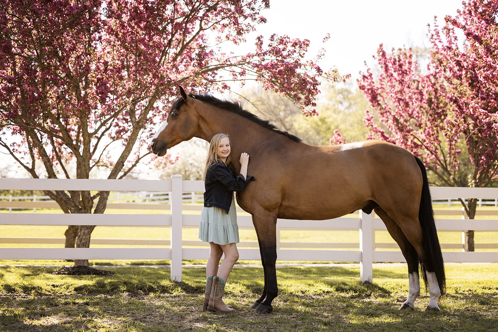 Michigan Equine Photographer - Horse & Rider - Dressage - Hunter Jumper - Western Pleasure - Hunter under Saddle - Saddle Seat - Horse Photography -14.jpg