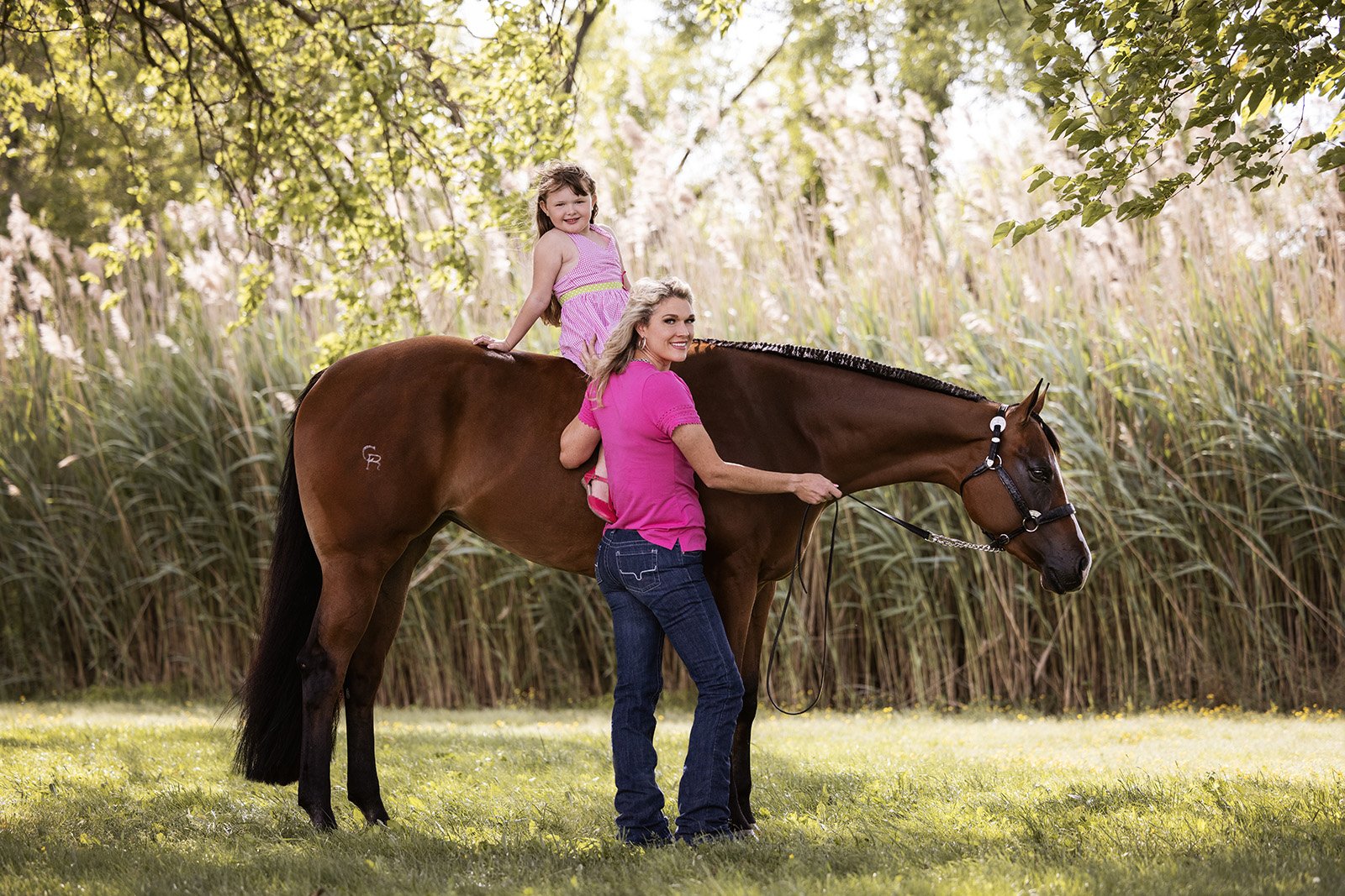 Michigan Equine Photographer - Horse & Rider - Dressage - Hunter Jumper - Western Pleasure - Hunter under Saddle - Saddle Seat - Horse Photography -15.jpg