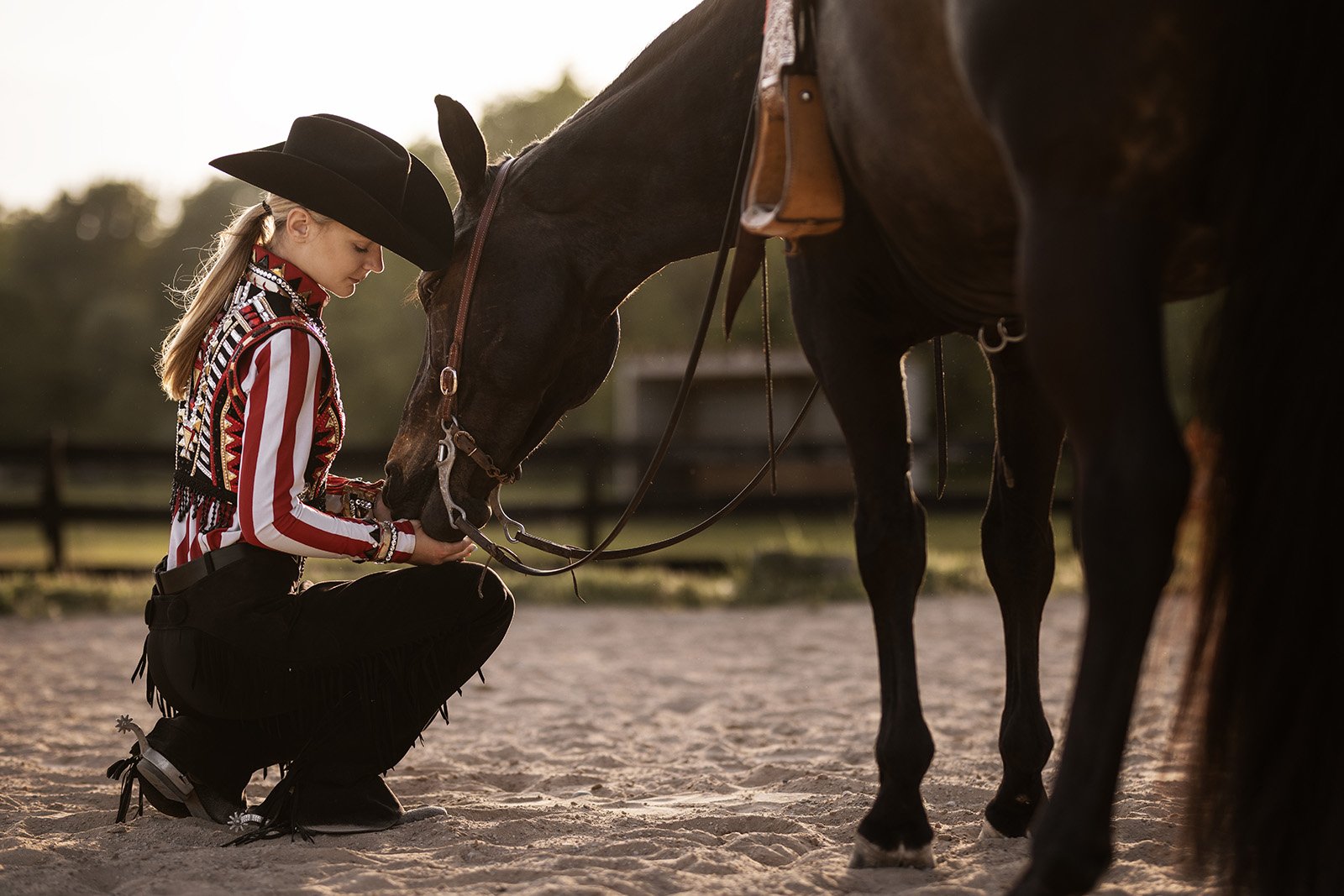 Michigan Equine Photographer - Horse & Rider - Dressage - Hunter Jumper - Western Pleasure - Hunter under Saddle - Saddle Seat - Horse Photography -18.jpg