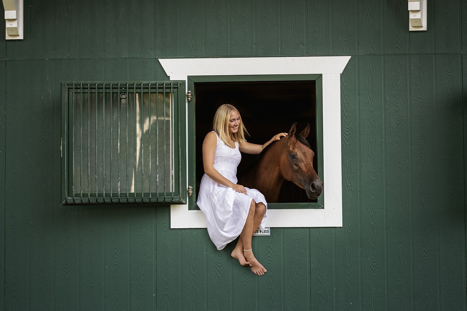 Michigan Equine Photographer - Horse & Rider - Dressage - Hunter Jumper - Western Pleasure - Hunter under Saddle - Saddle Seat - Horse Photography -20.jpg