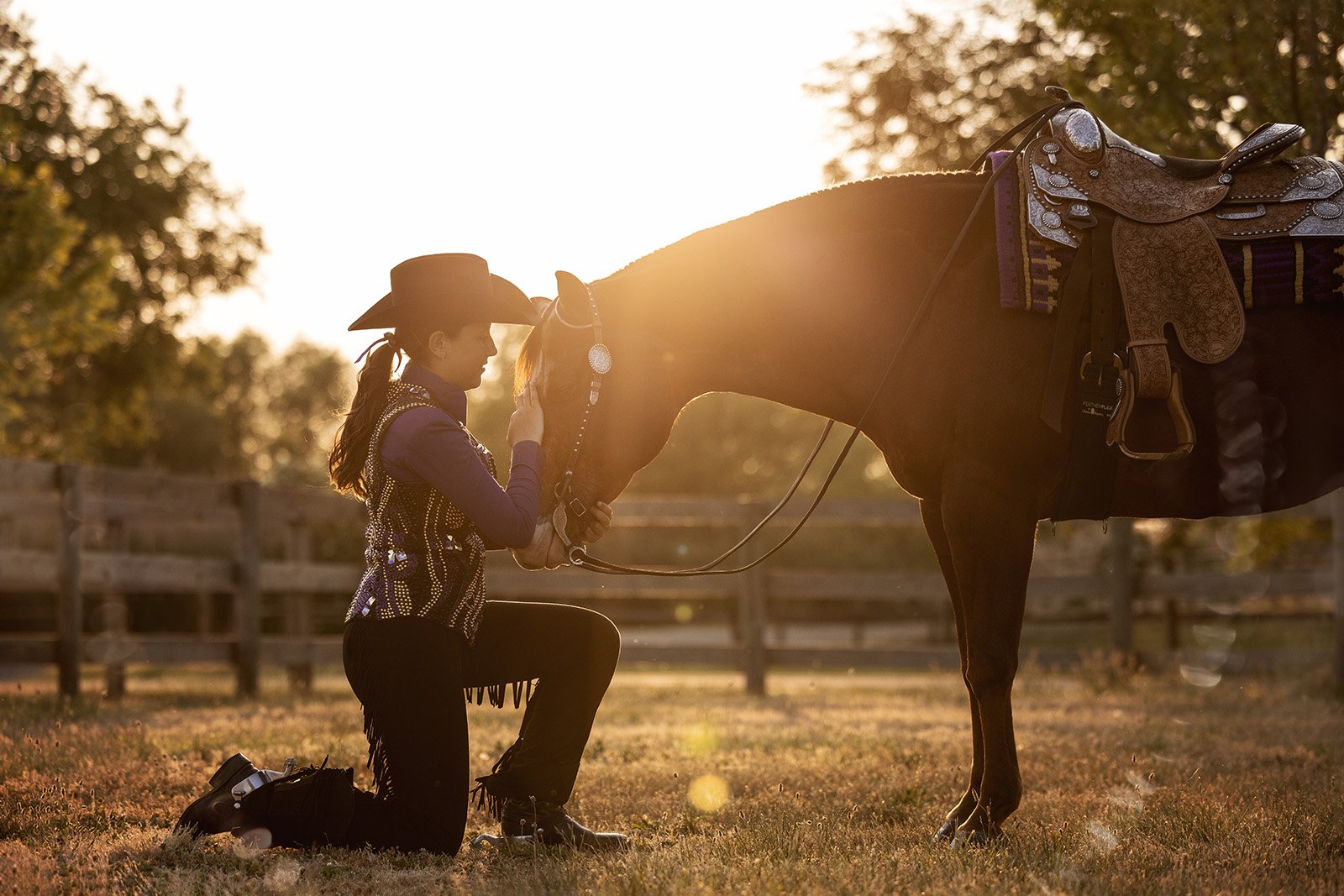 Michigan Equine Photographer - Horse & Rider - Dressage - Hunter Jumper - Western Pleasure - Hunter under Saddle - Saddle Seat - Horse Photography -24.jpg