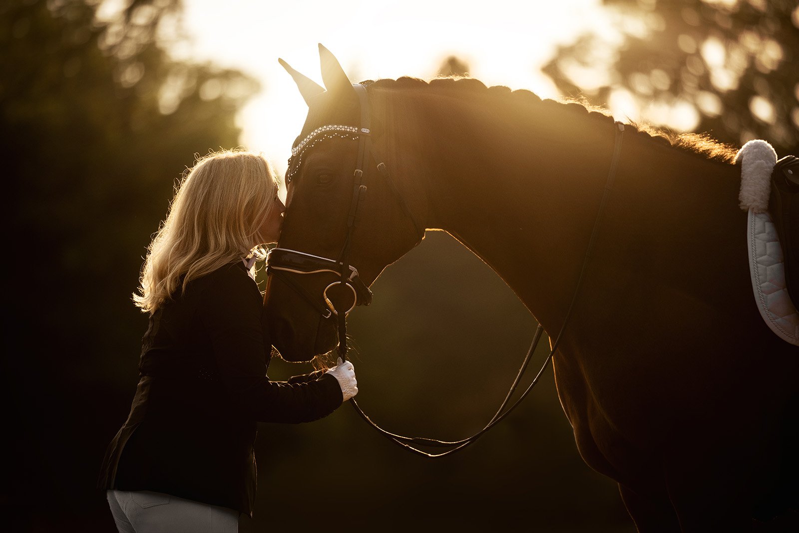 Michigan Equine Photographer - Horse & Rider - Dressage - Hunter Jumper - Western Pleasure - Hunter under Saddle - Saddle Seat - Horse Photography -26.jpg
