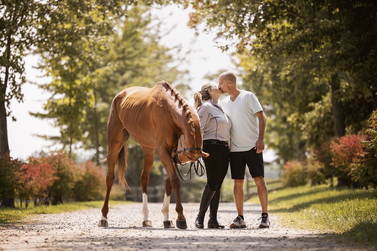 Michigan Equine Photographer - Horse & Rider - Dressage - Hunter Jumper - Western Pleasure - Hunter under Saddle - Saddle Seat - Horse Photography -31.jpg