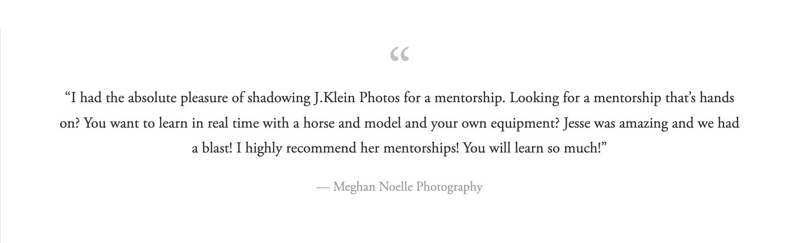 Equine Photography Mentorship - Learn how to photograph horses - Virtual and In Person - JKlein Photos -03.jpg