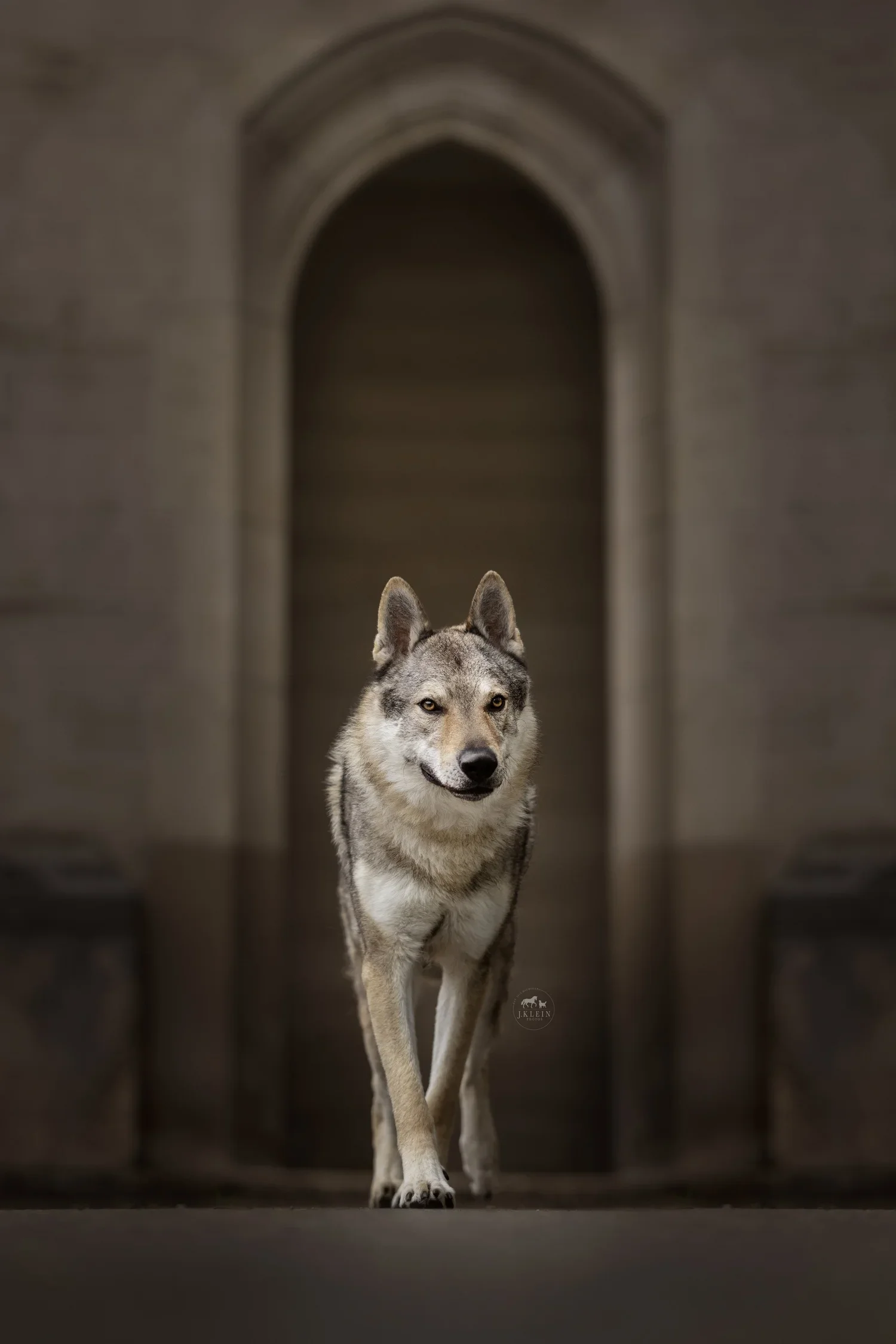 Achelous , the Czechoslovakian Vlcak