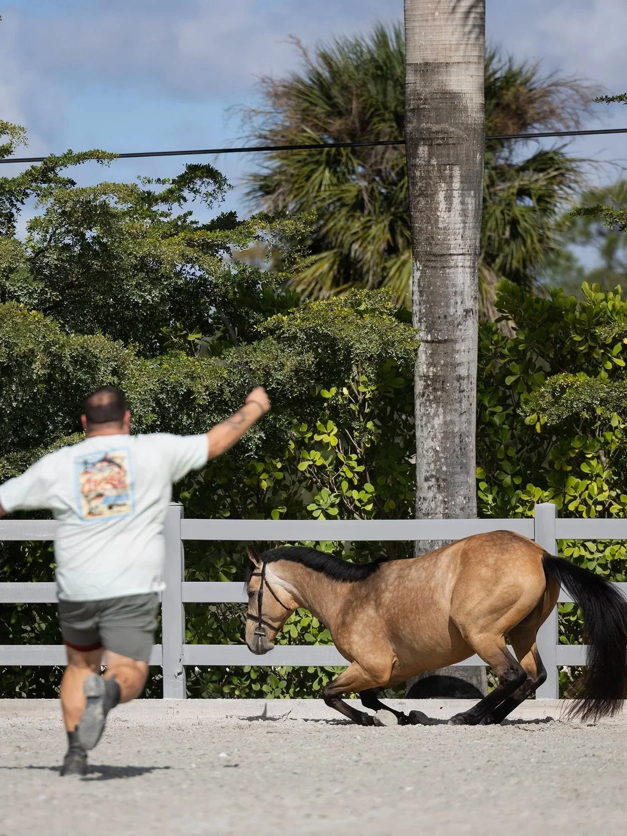 2025 Horse &amp; Rider Bloopers