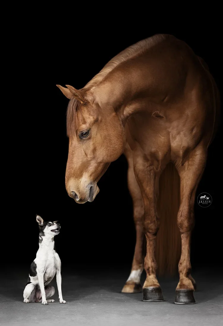 Jana, Electric Jac &amp; Elbee