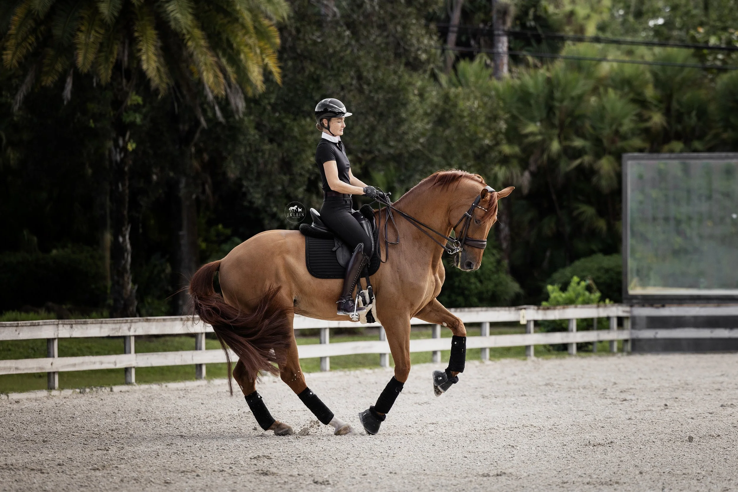 JKleinPhotos_Florida_Michigan_Equine_Canine_Photographer_Dressage_HunterJumper_HorseandRiderPhotoshoot_108.jpg