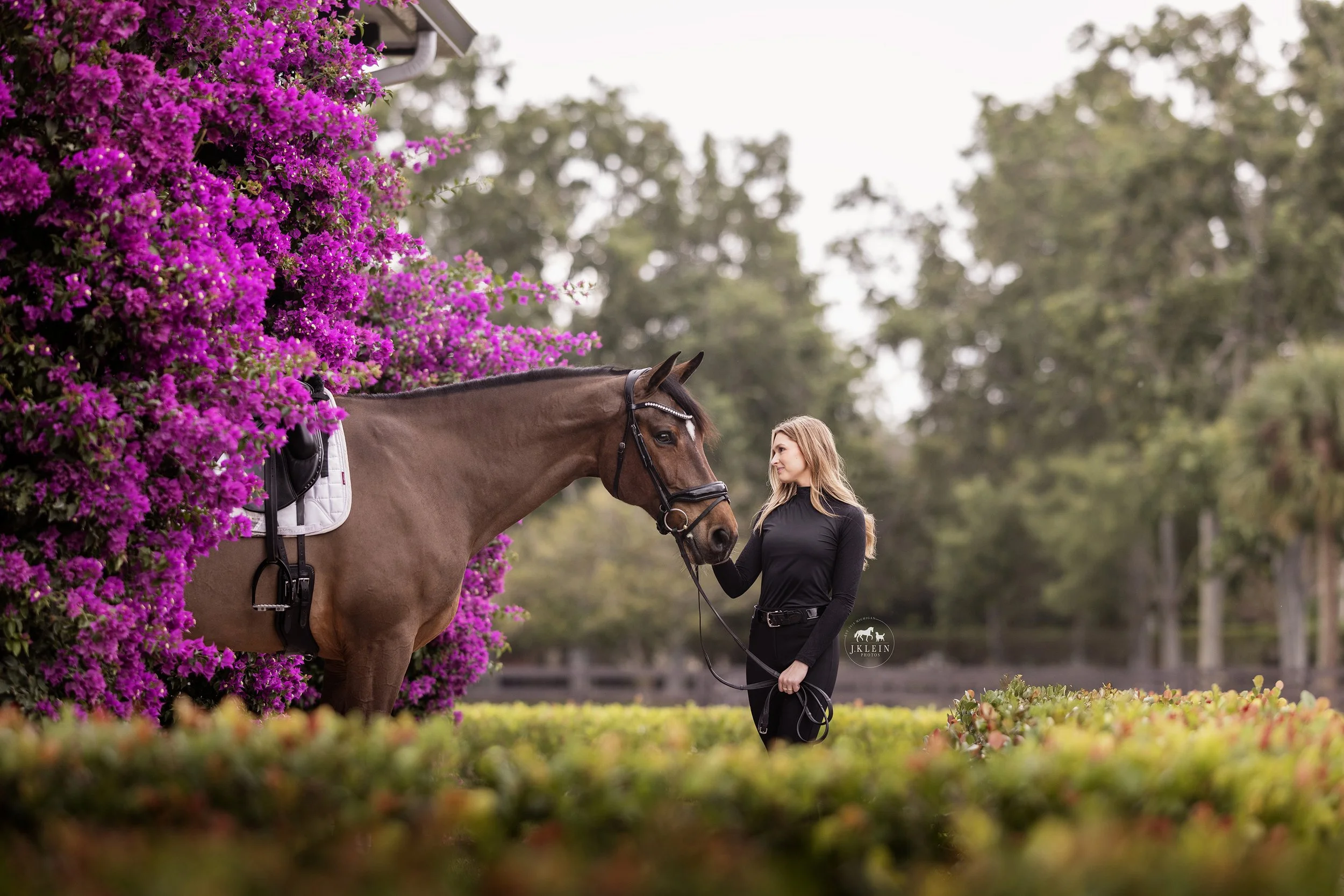 JKleinPhotos_Florida_Michigan_Equine_Canine_Photographer_Dressage_HunterJumper_HorseandRiderPhotoshoot_226.jpg