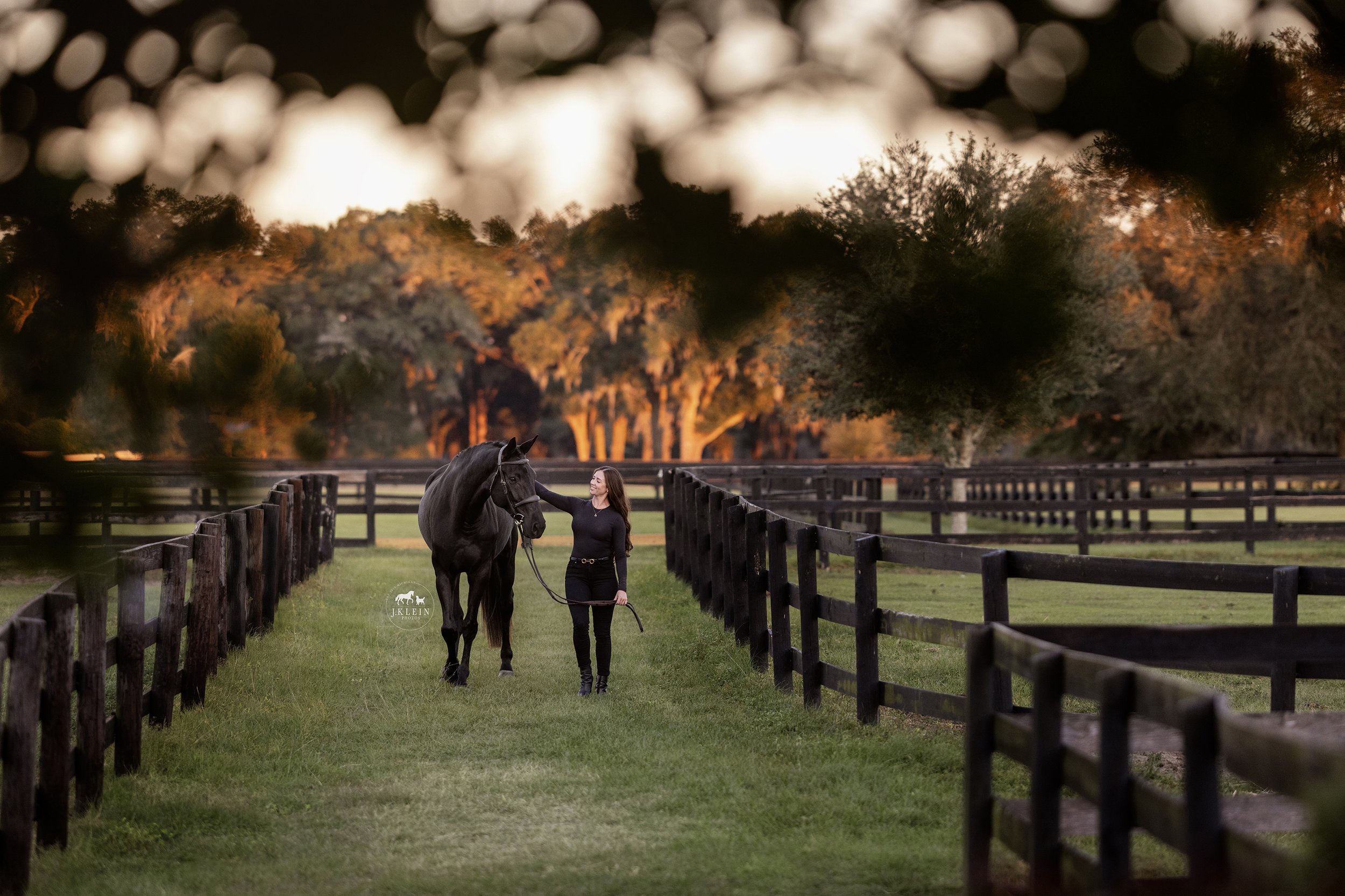 JKleinPhotos_Florida_Michigan_Equine_Canine_Photographer_Dressage_HunterJumper_HorseandRiderPhotoshoot_086.jpg